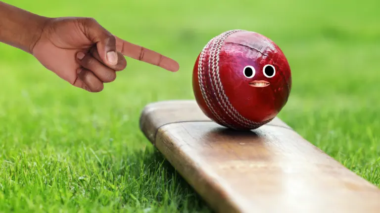 A person pointing to a ball balancing on a cricket bat