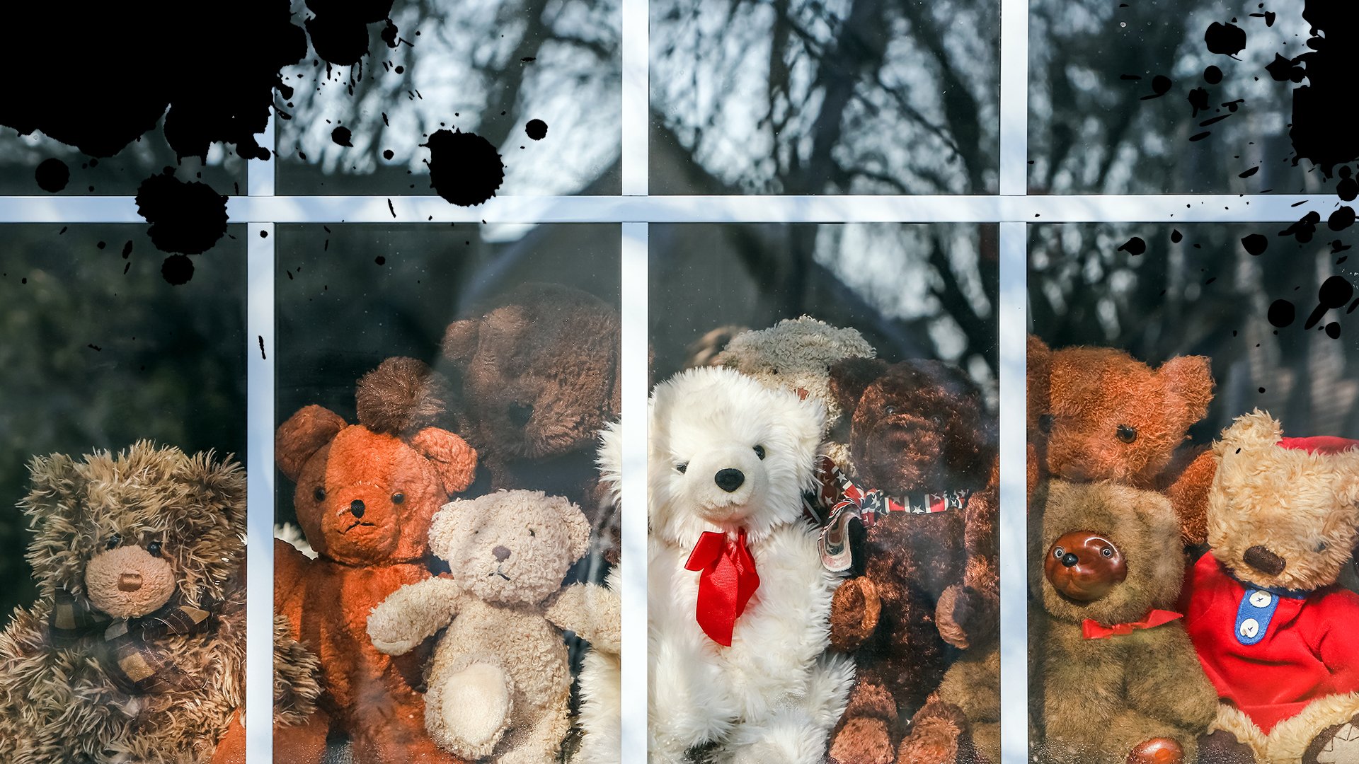 A selection of teddies