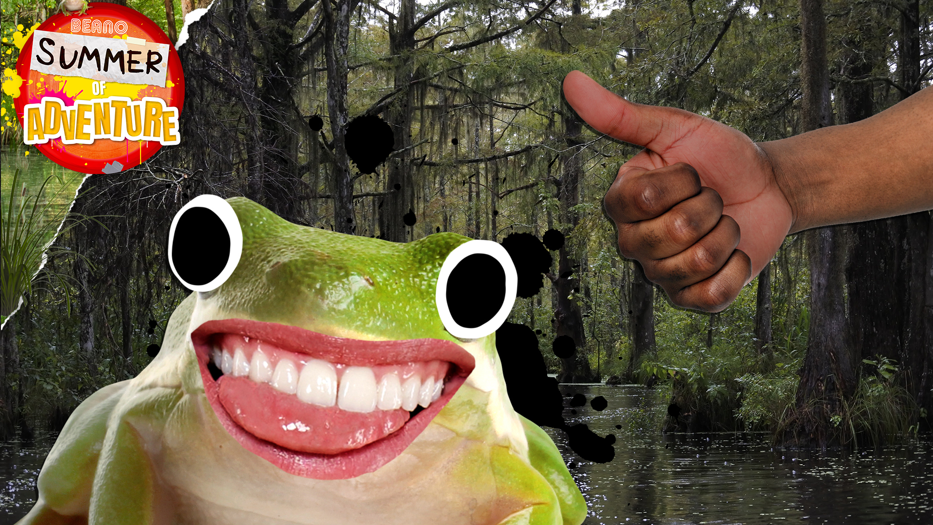 Summer of Adventure - Swamp Facts