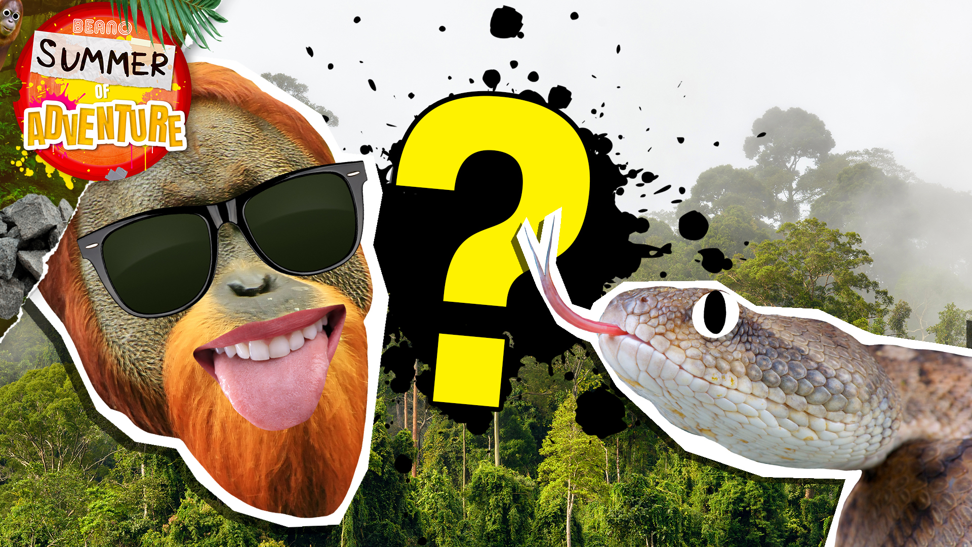 Summer of Adventure: Jungle quiz