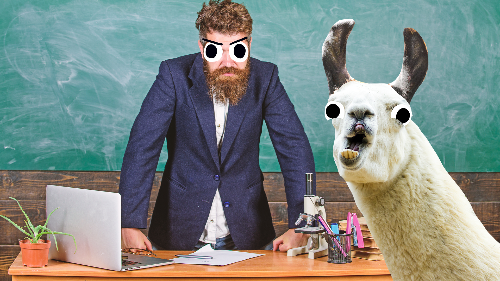 Angry looking teacher and Beano llama 