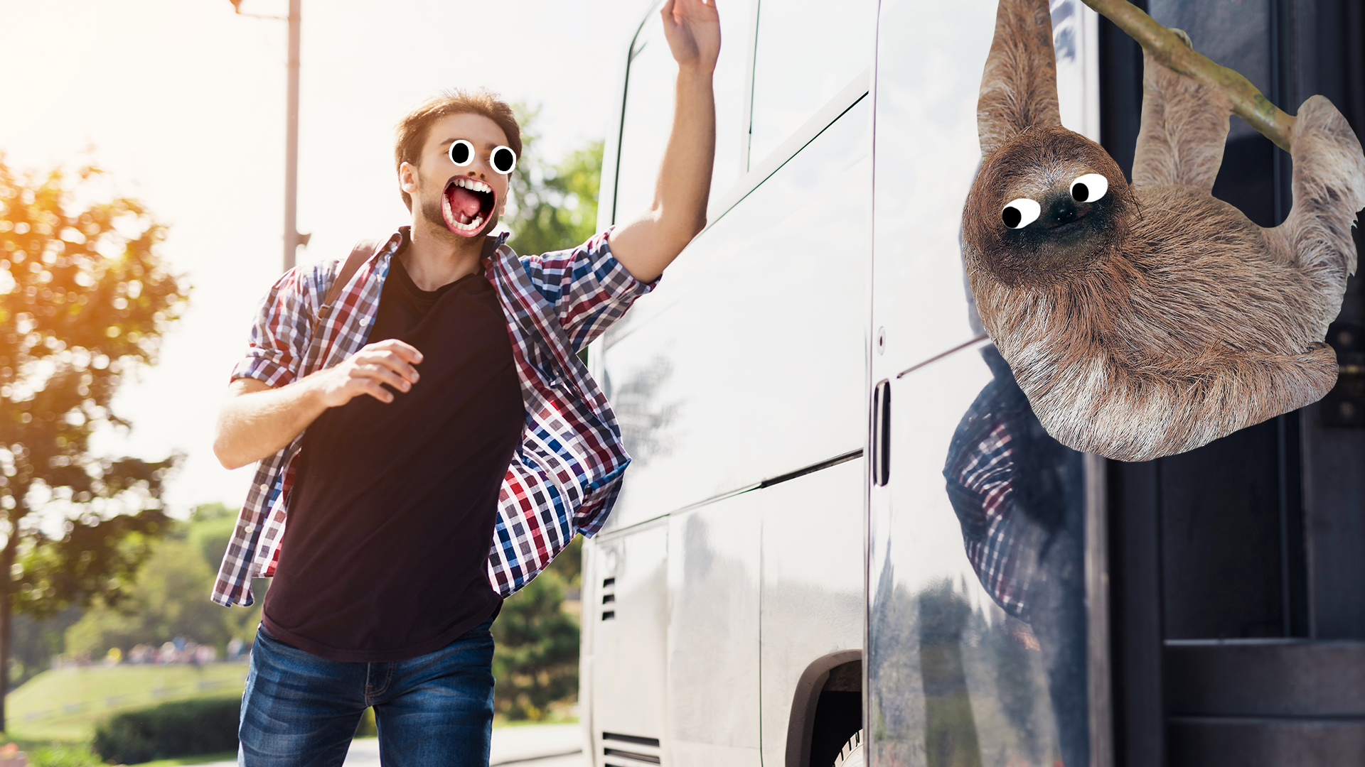 Man running for the bus and derpy sloth 