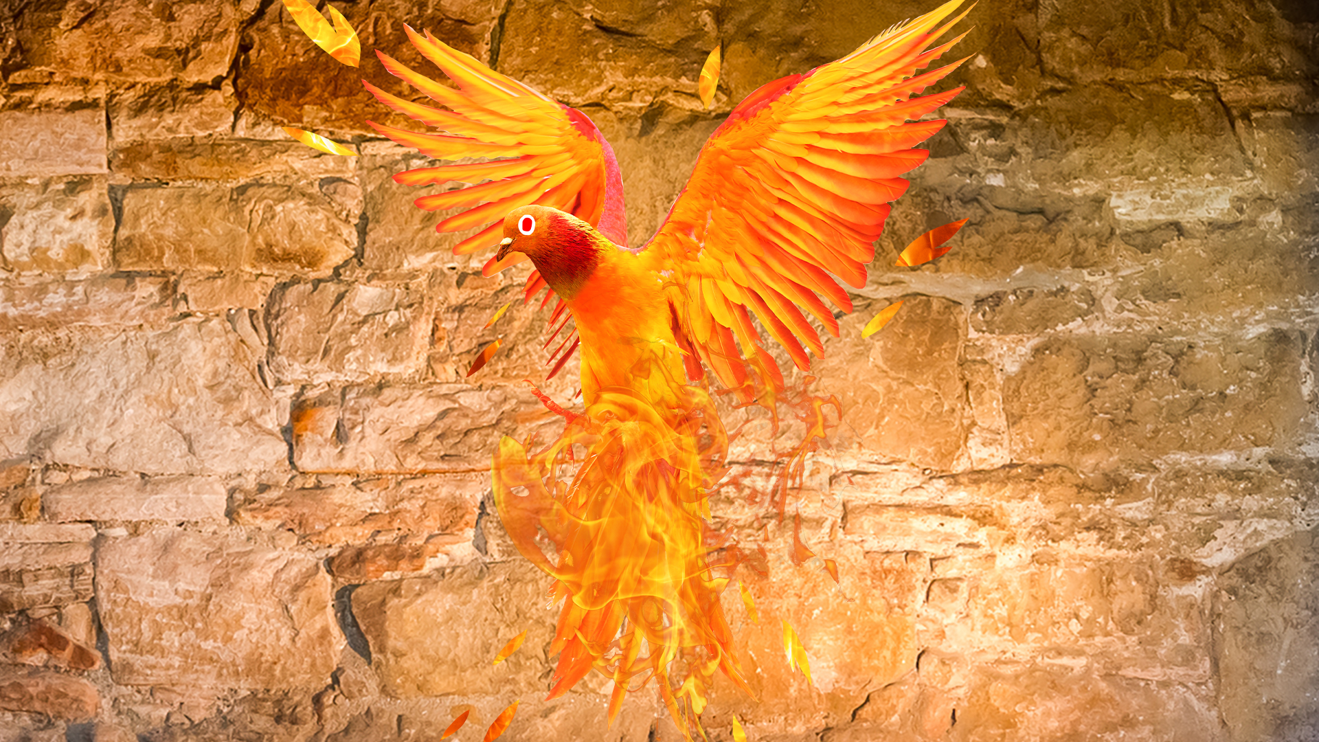 Beano phoenix on stone background