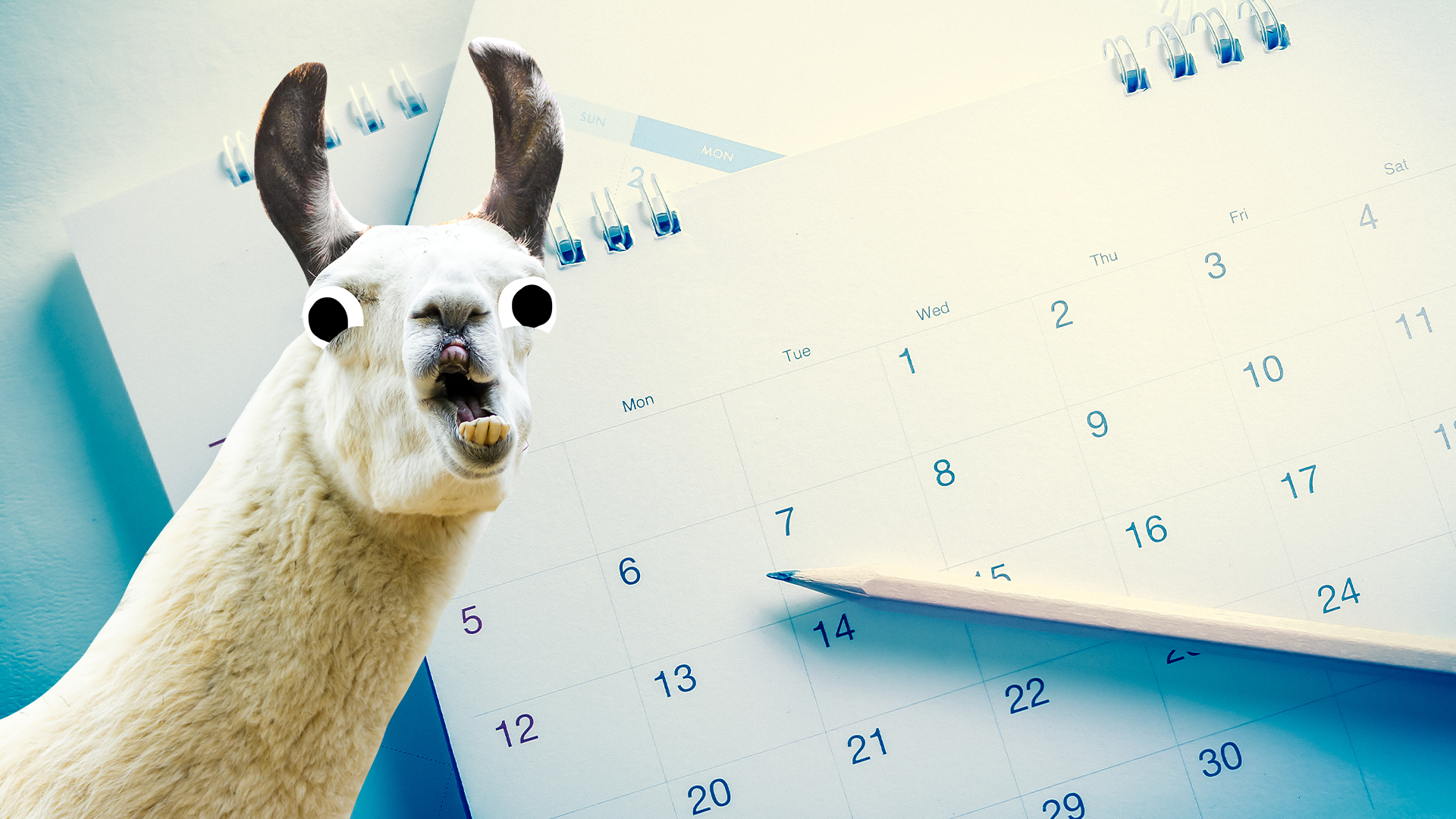 Derpy llama on calendar background