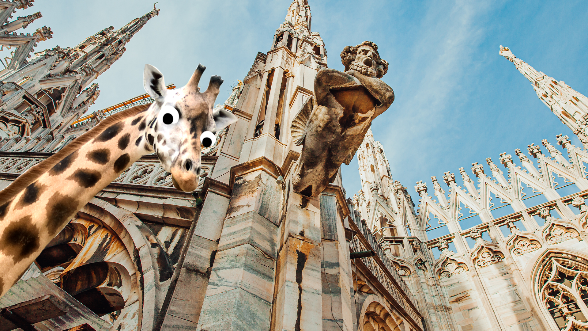Looking up at cathedral with derpy giraffe