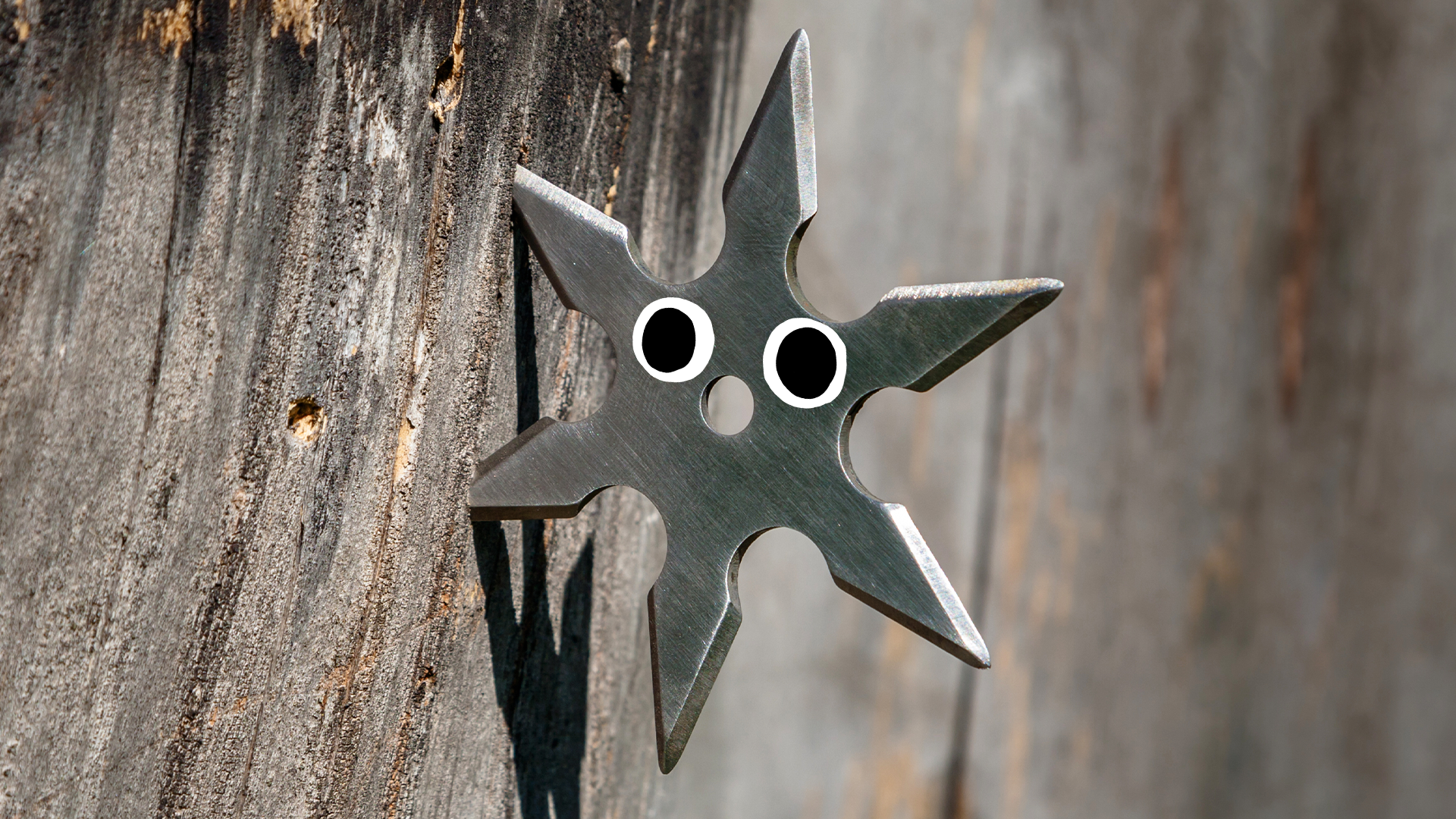 Throwing star in wood with eyes