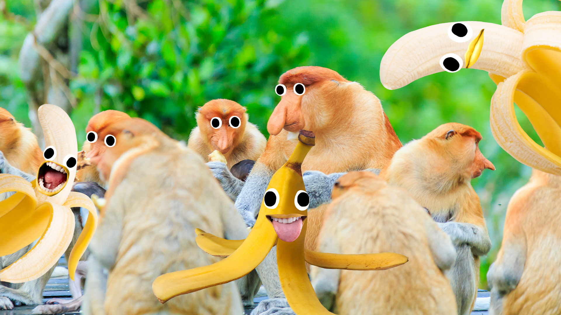 Monkeys and goofy bananas