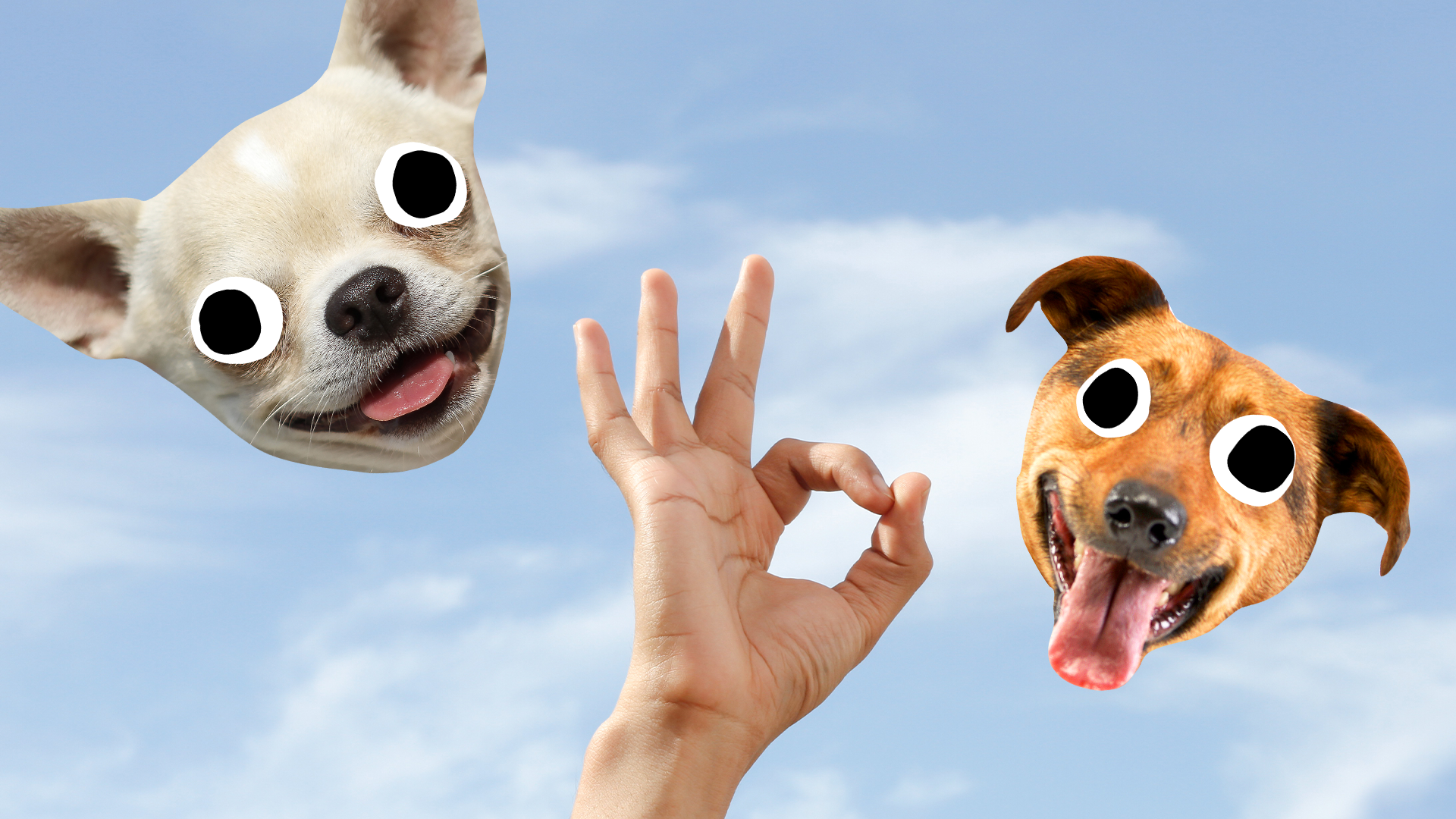 Hand doing fun sign with Beano derpy dog faces on sky background