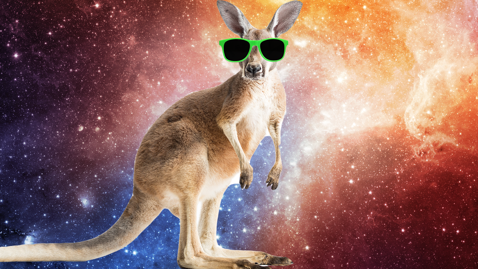 27 Kangeroo Jokes That Are Mar-Super-ial! 