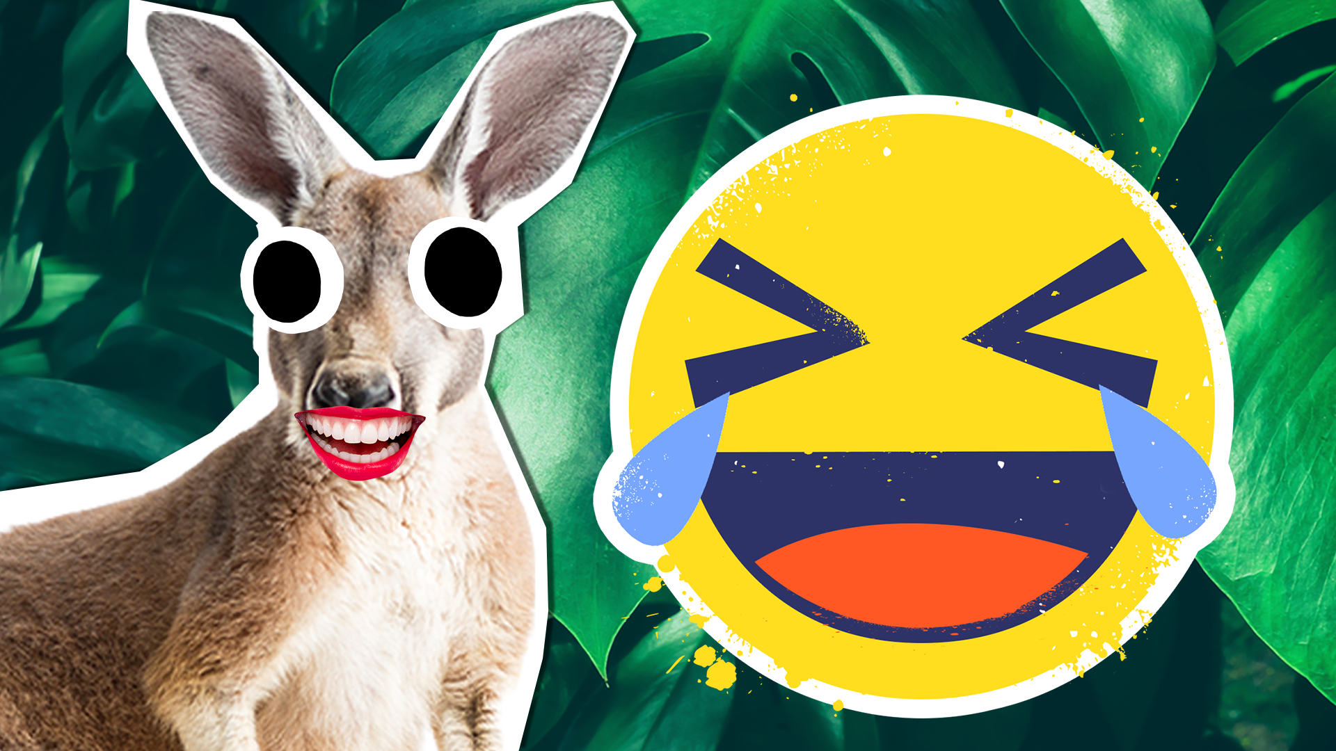 27 Kangeroo Jokes That Are Mar-Super-ial! 