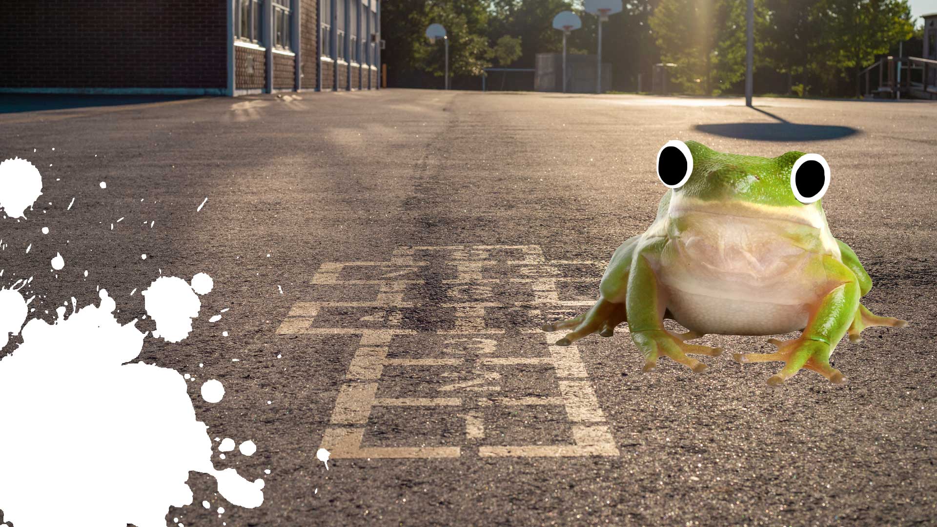 A frog in a playground