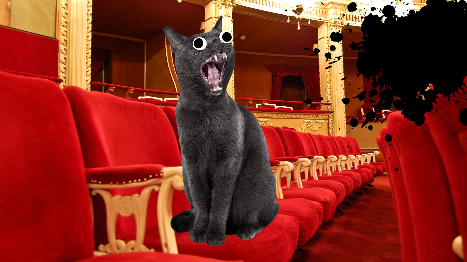 A cat meowing in a theatre
