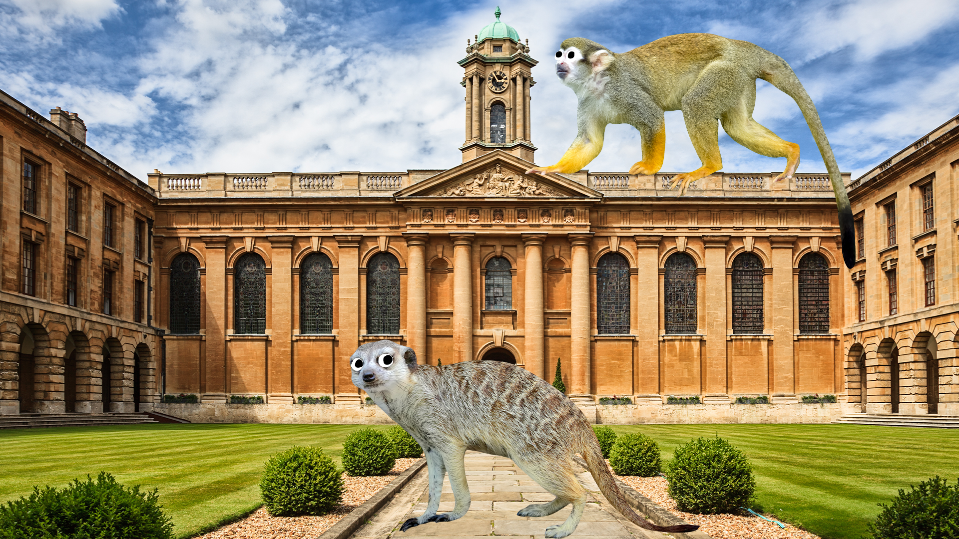 A university with a meerkat and a monkey roaming the grounds