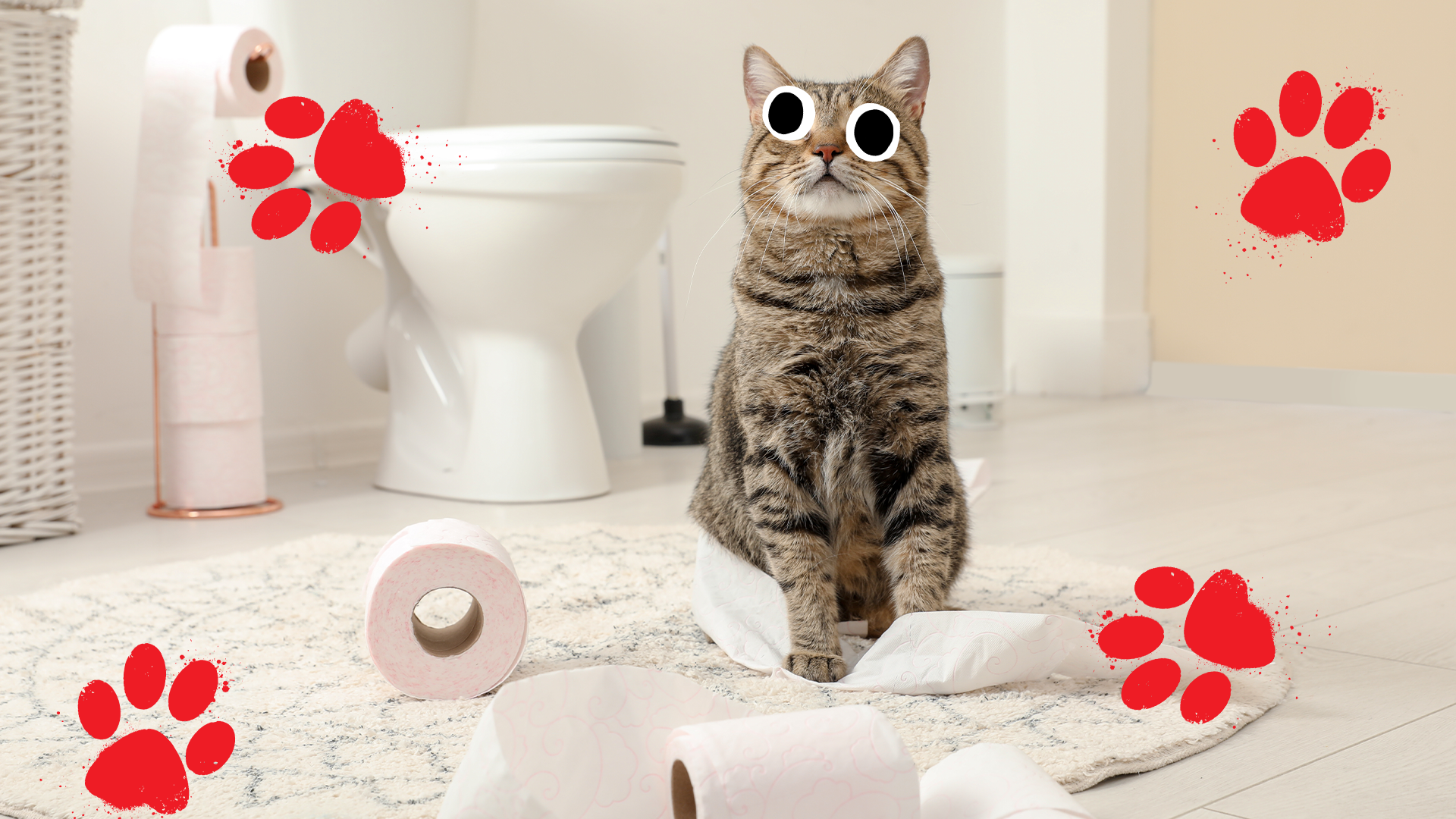 A cat surrounded by toilet paper in a nice bathroom