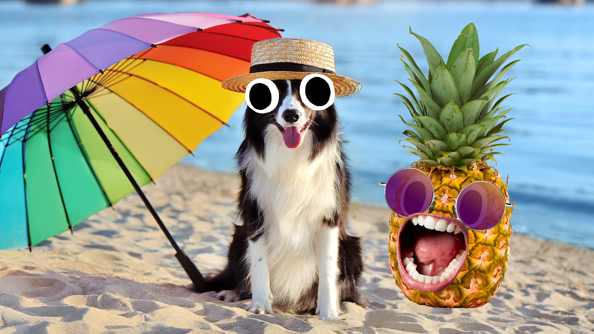 A dog and a pineapple relaxing at the beach