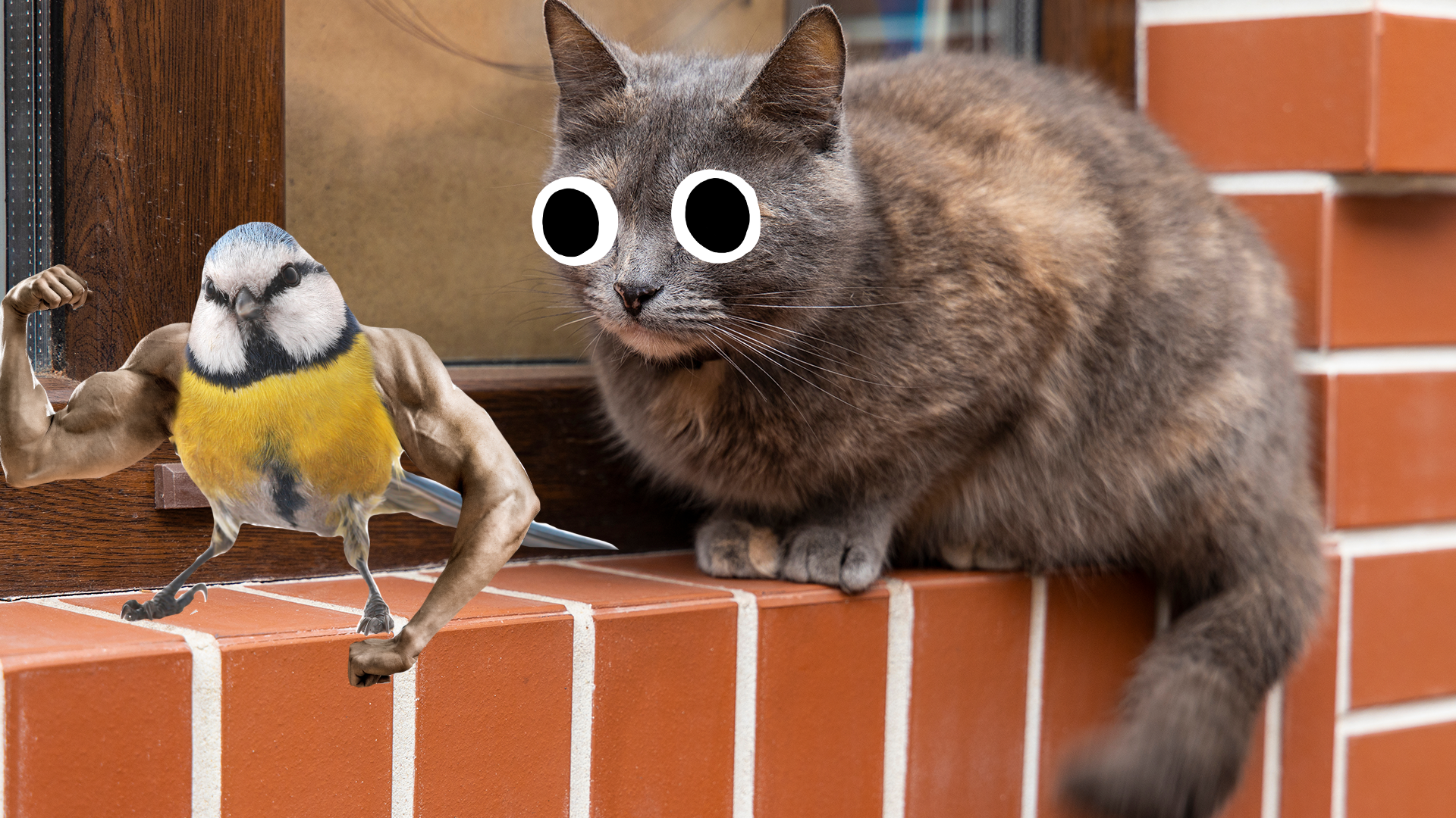 A cat and a muscular bird sit on a wall
