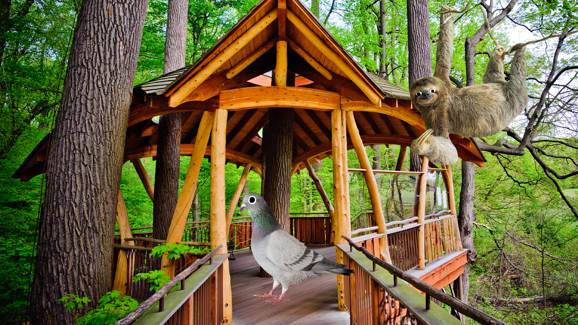 A sloth and a pigeon relax in a treehouse