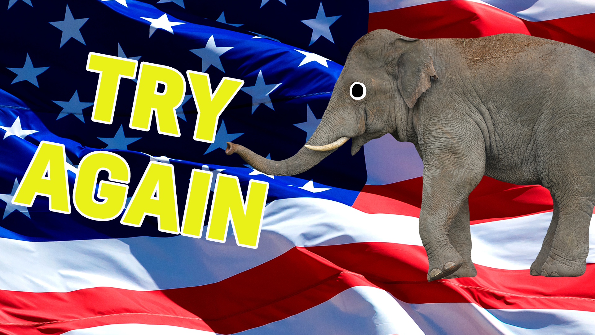 An elephant in front of the USA flag