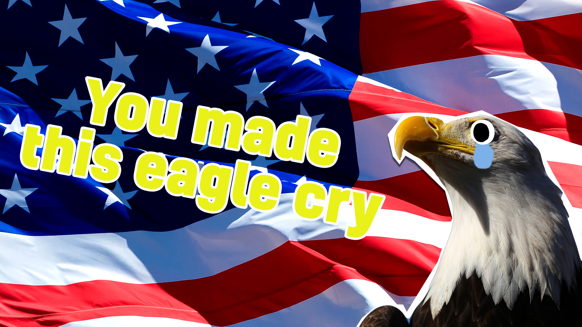 A crying eagle in front of the USA flag