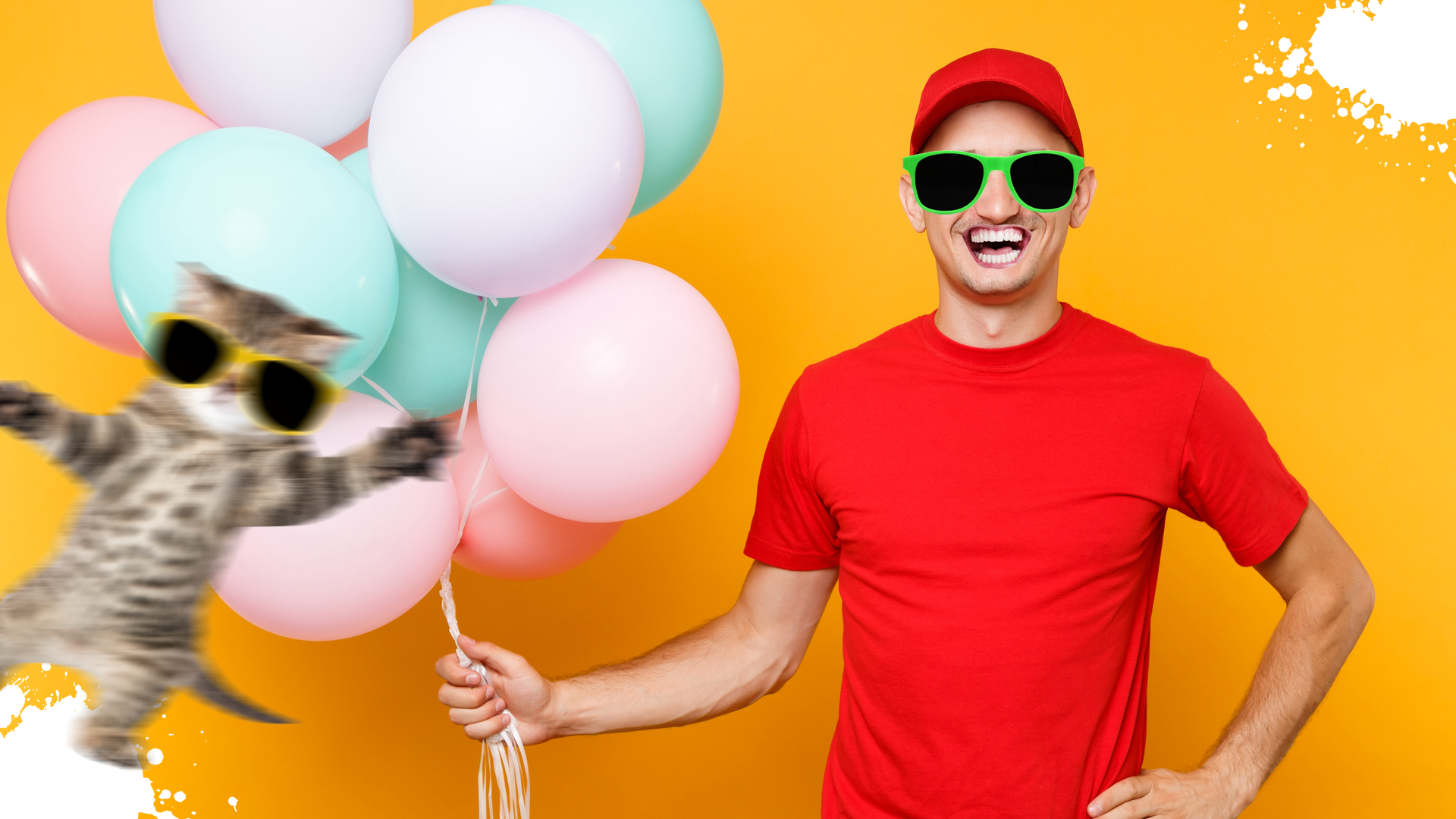 A man with a bunch of balloons with a kitten about to ruin the lot