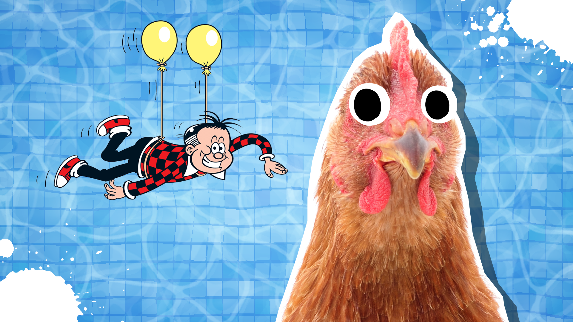 A chicken in a swimming pool 