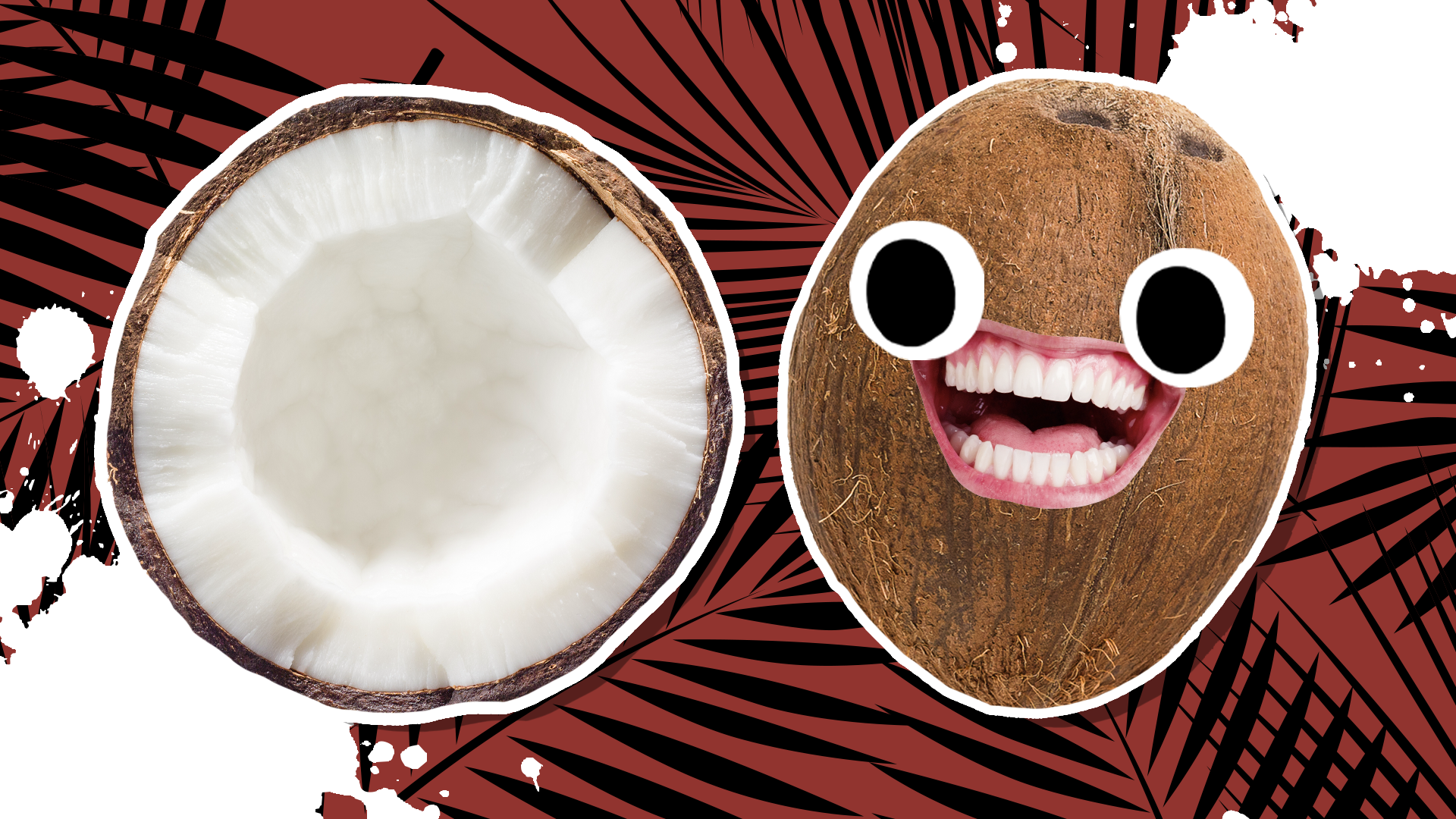 20 Coconut Jokes Which Will Crack You Up! 