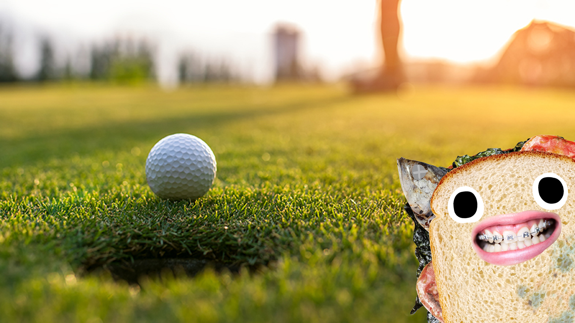 A mouldy sandwich watches a game of golf