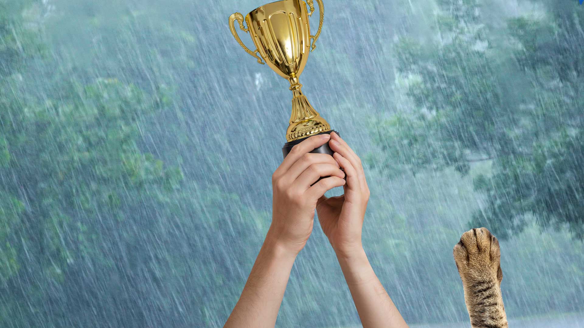 A football trophy being held aloft on a rainy day