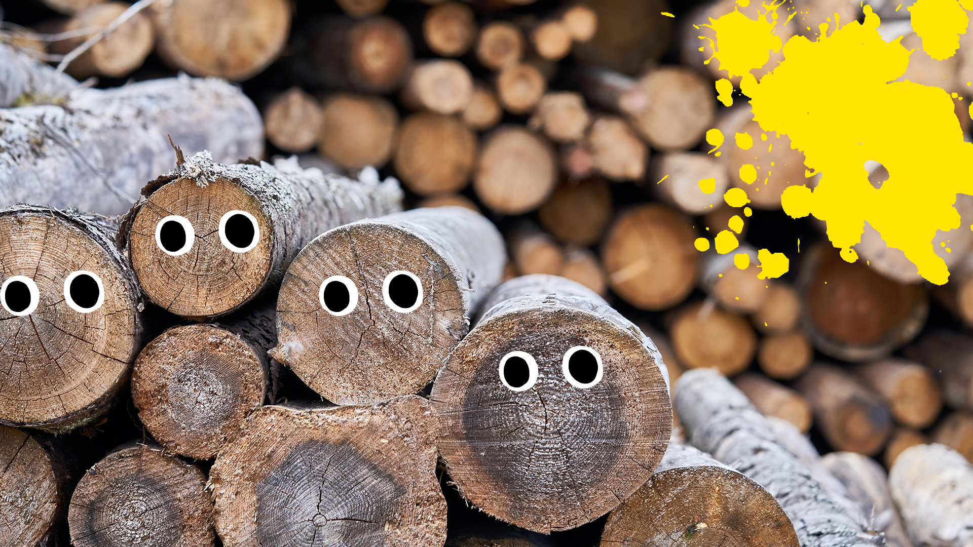Pile of logs with eyes and yellow splat