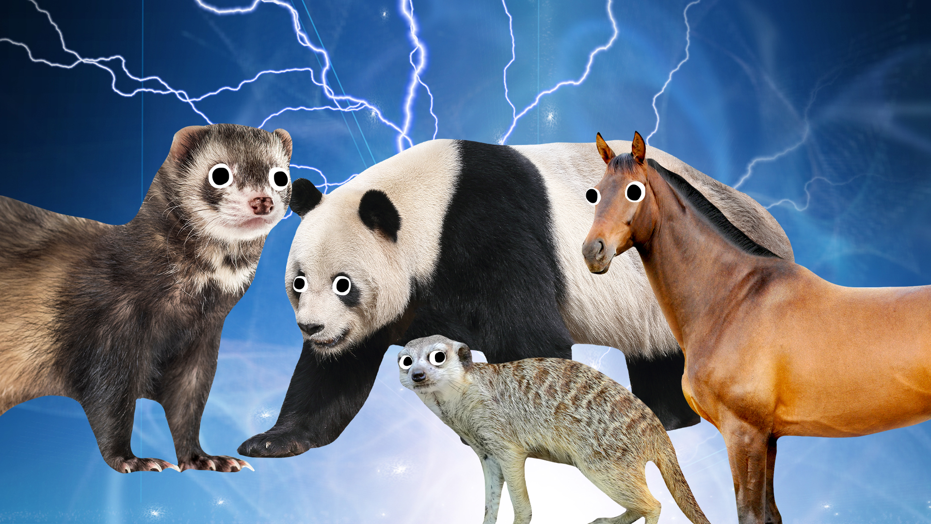 Various Beanoified animals on magic background