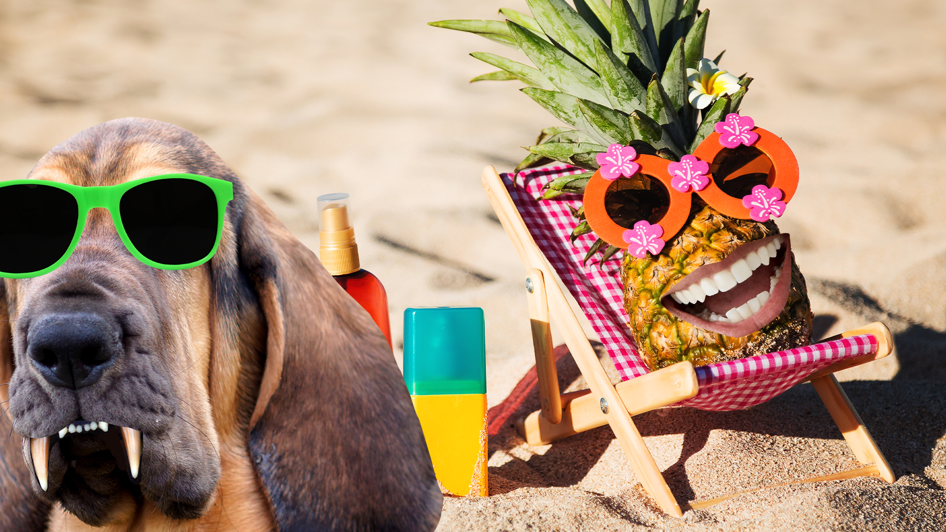 Sunbathing pineapple and Beano vampire dog