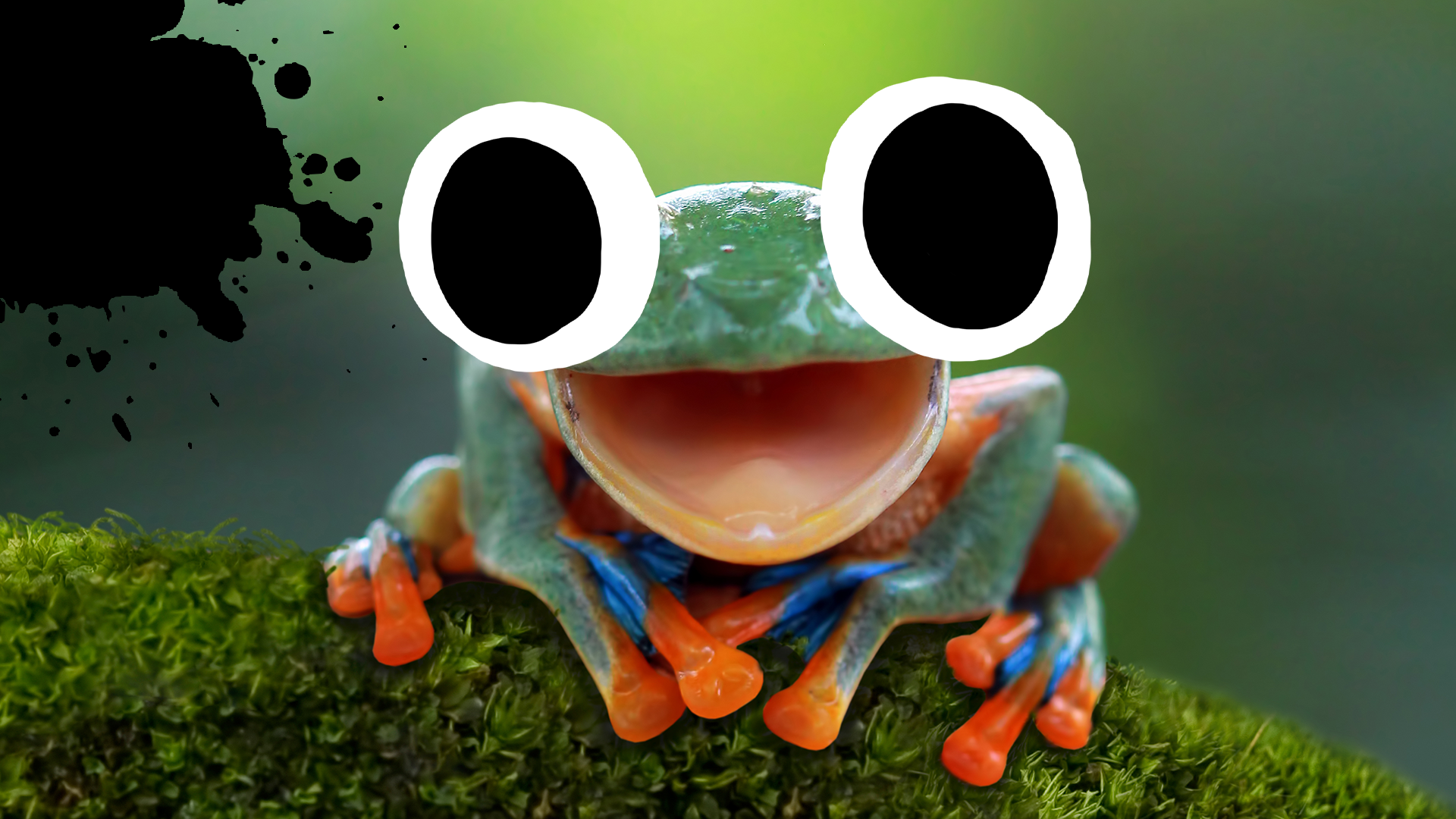 Frog with googly eyes and black splat