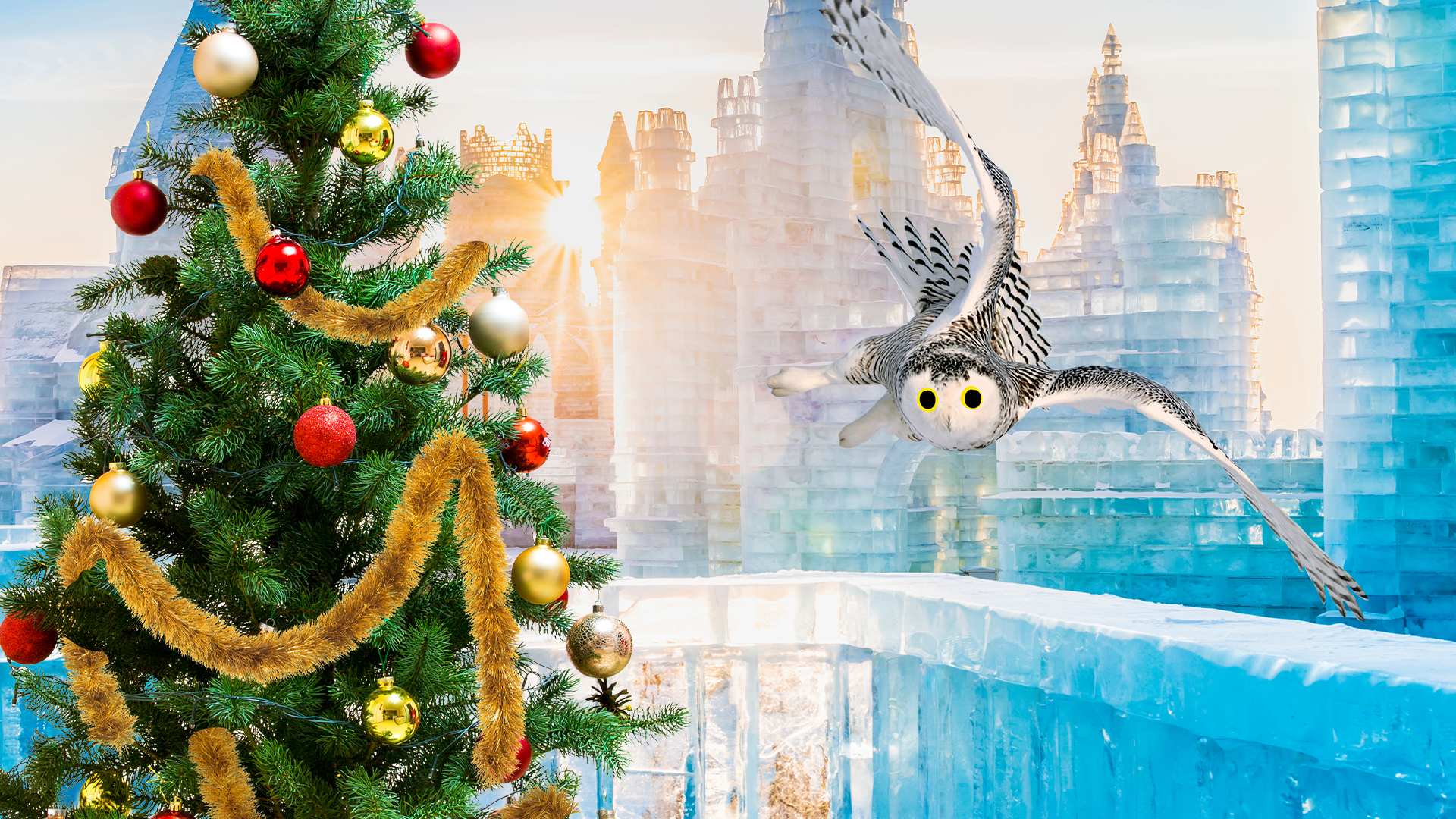 Ice palace with Beano owl and Christmas tree