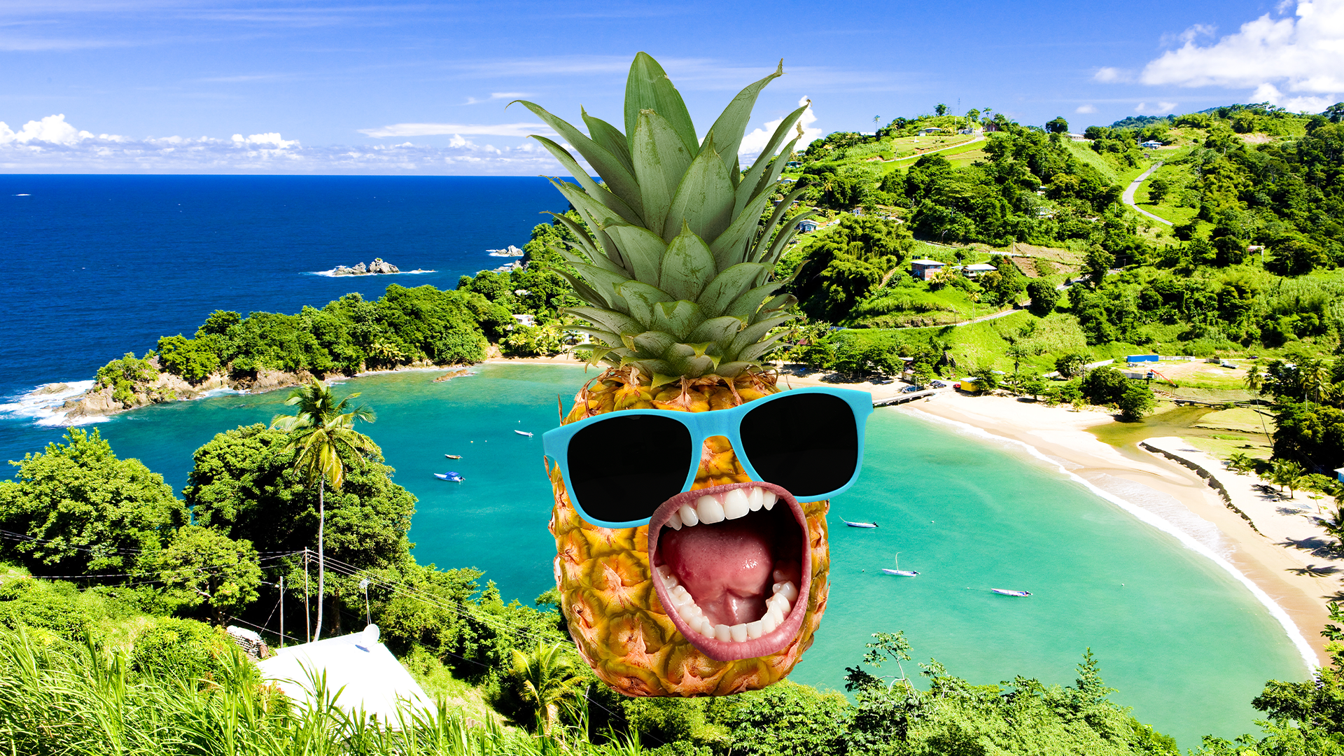 Pineapple in sunglasses on tropical beach background