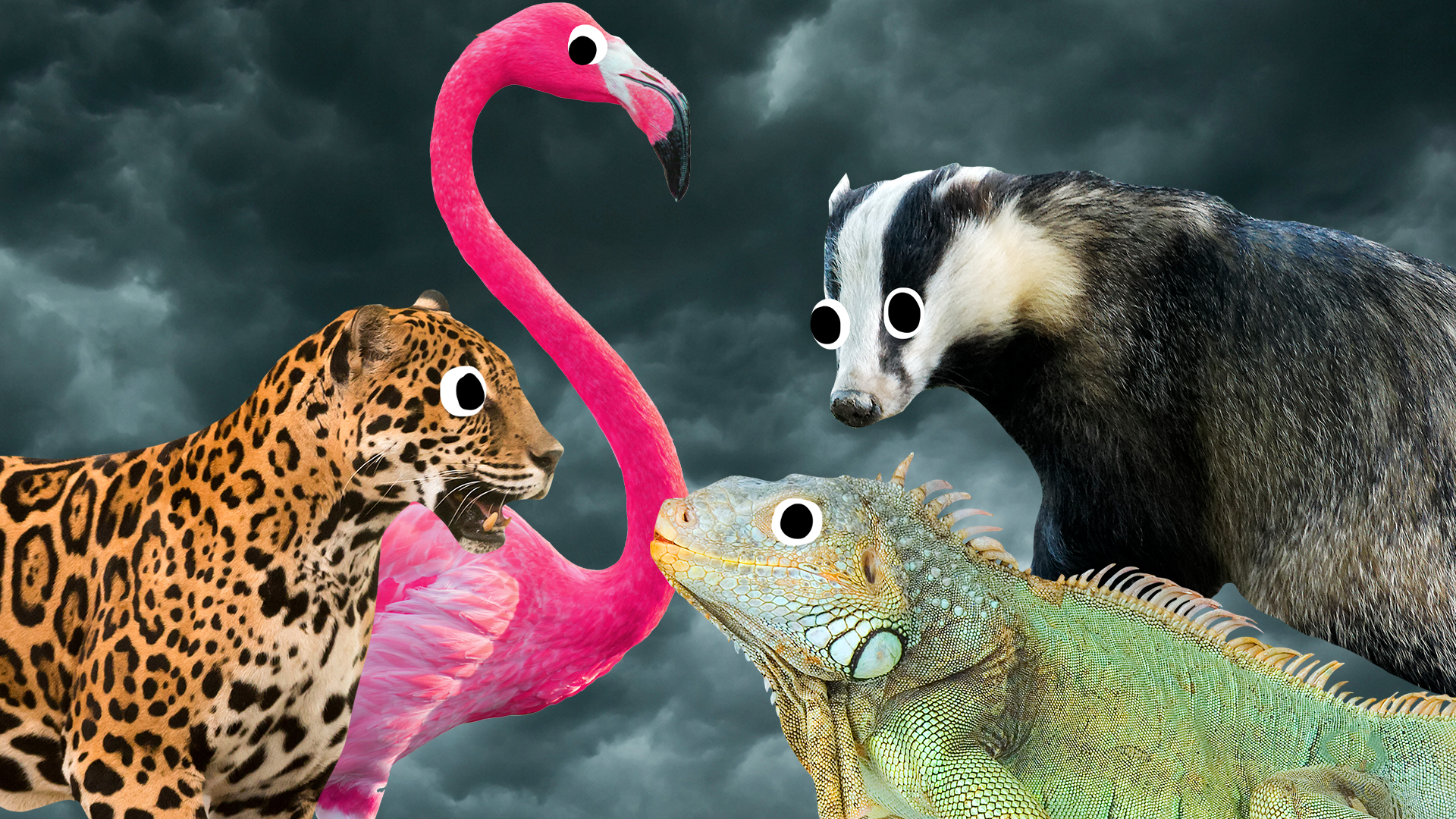 Beano animals on cloudy background
