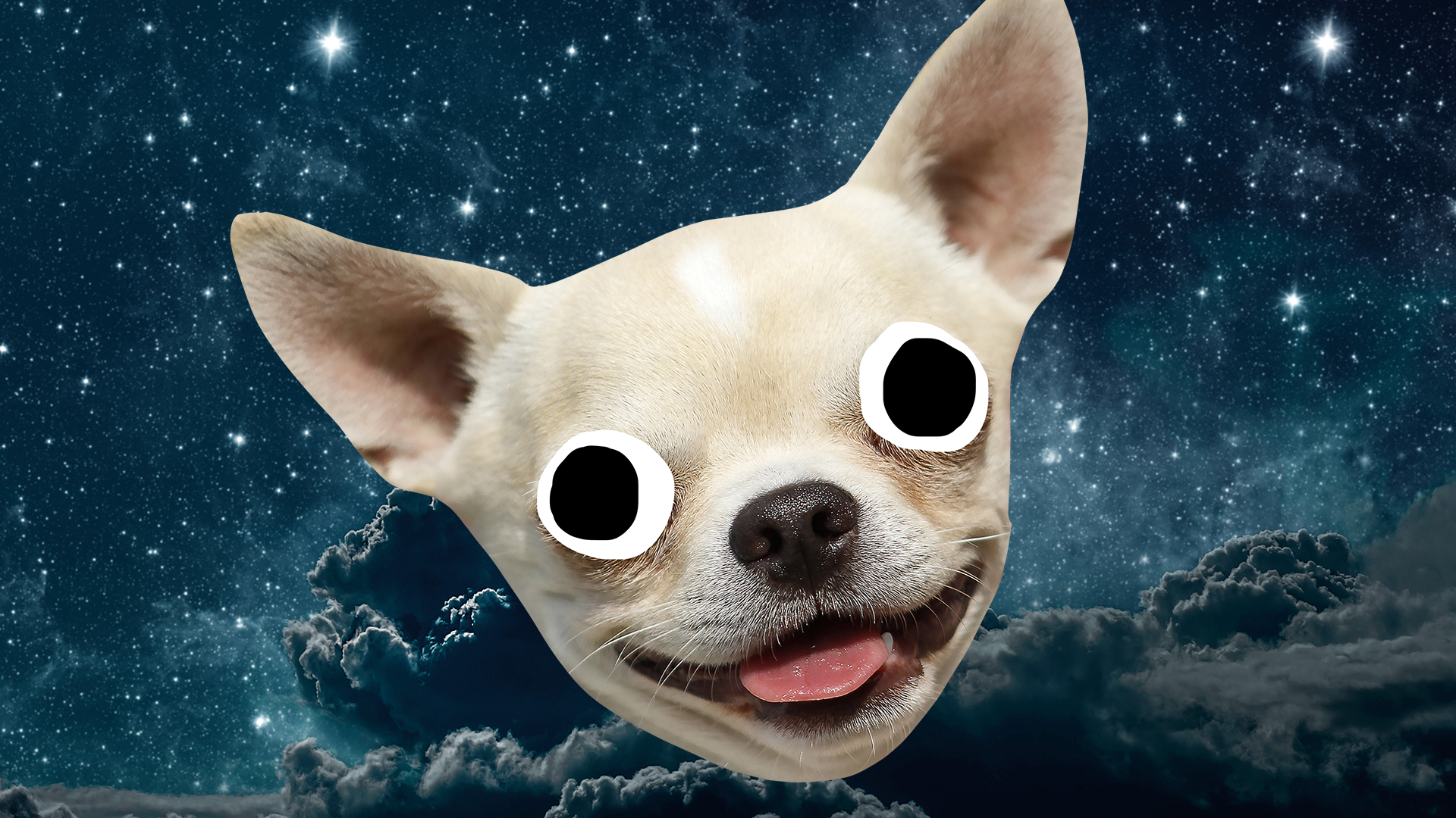 Happy dog face on starry sky background