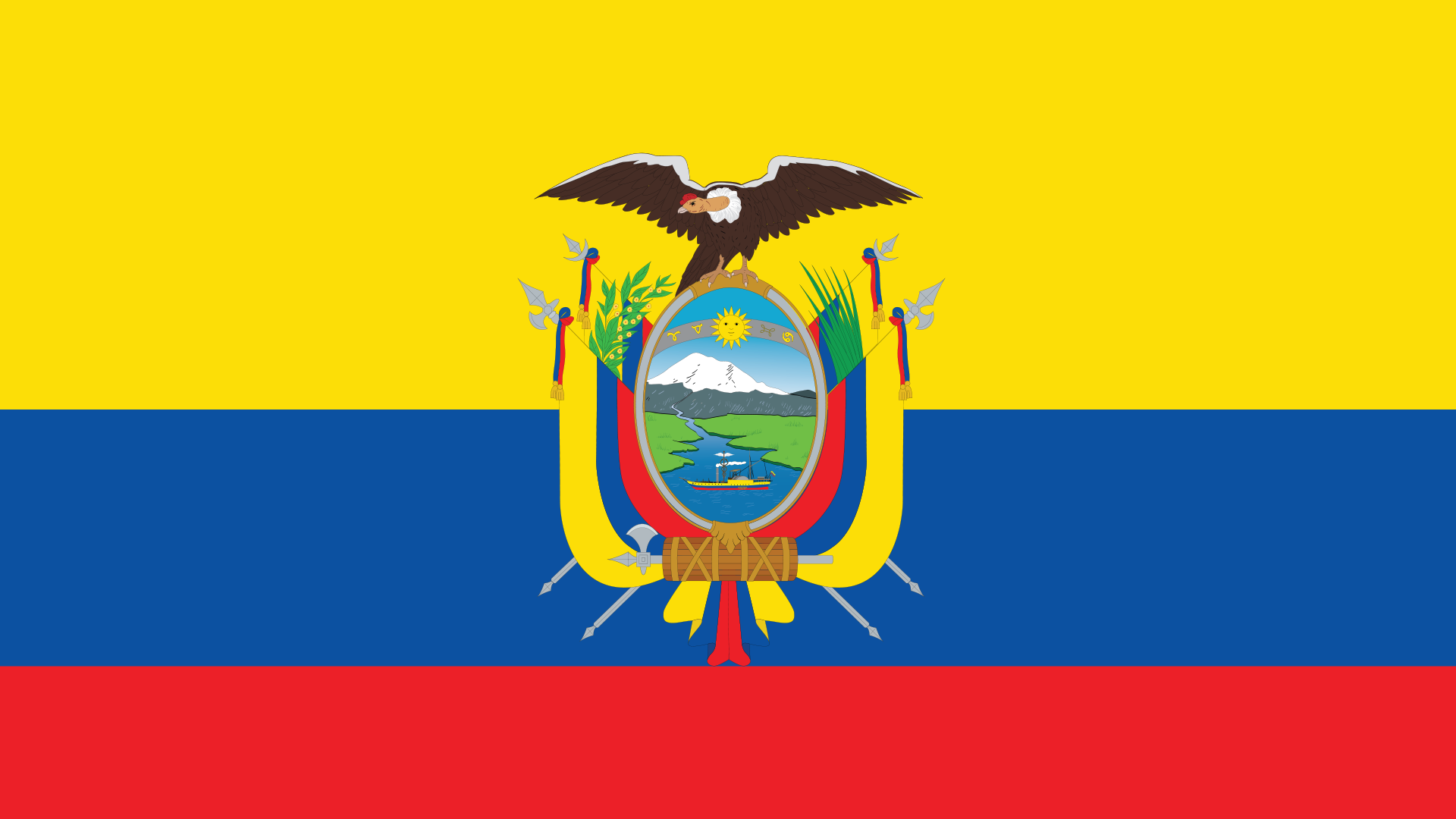 A South American flag