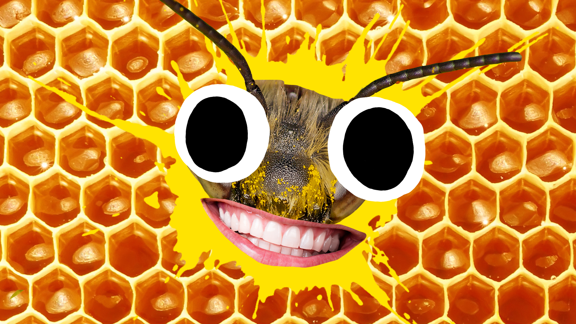 Grinning bee face on yellow splat and honeycomb background