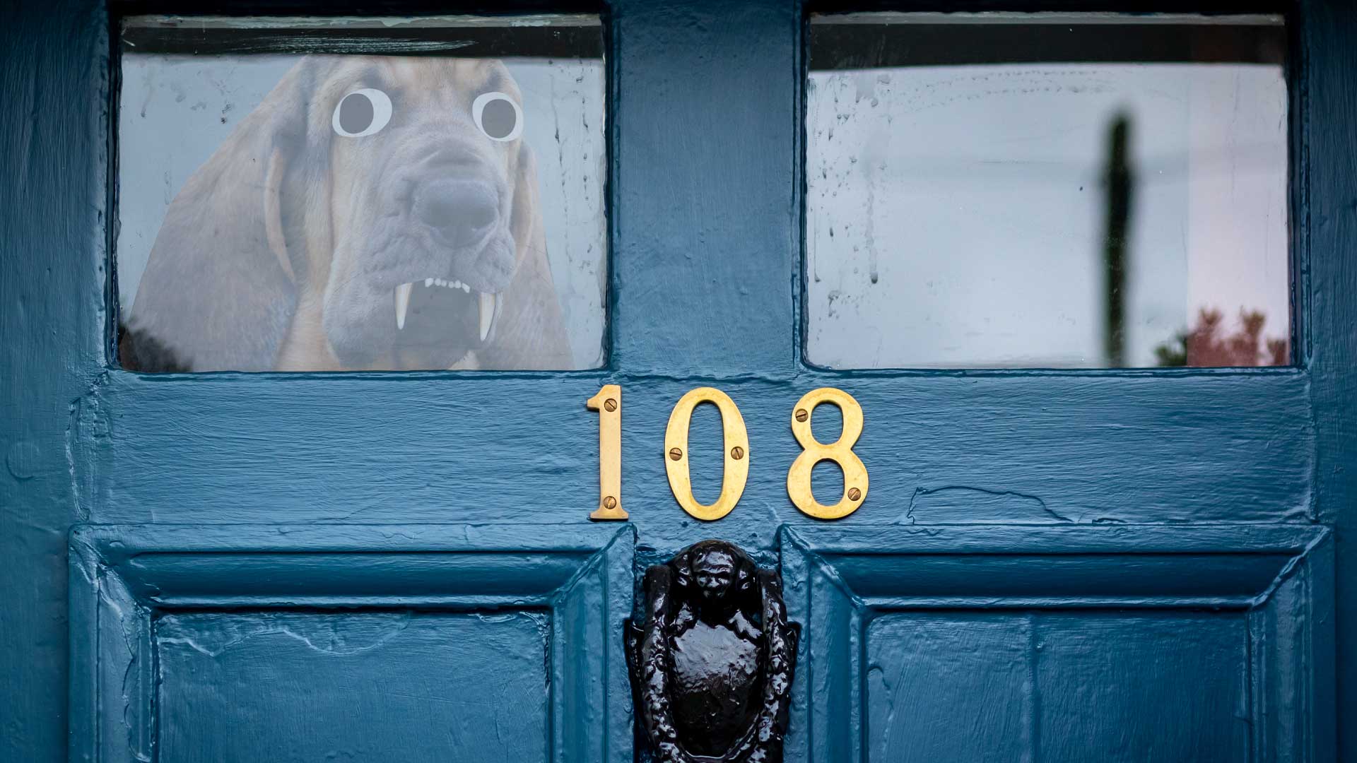A dog peering from behind a door