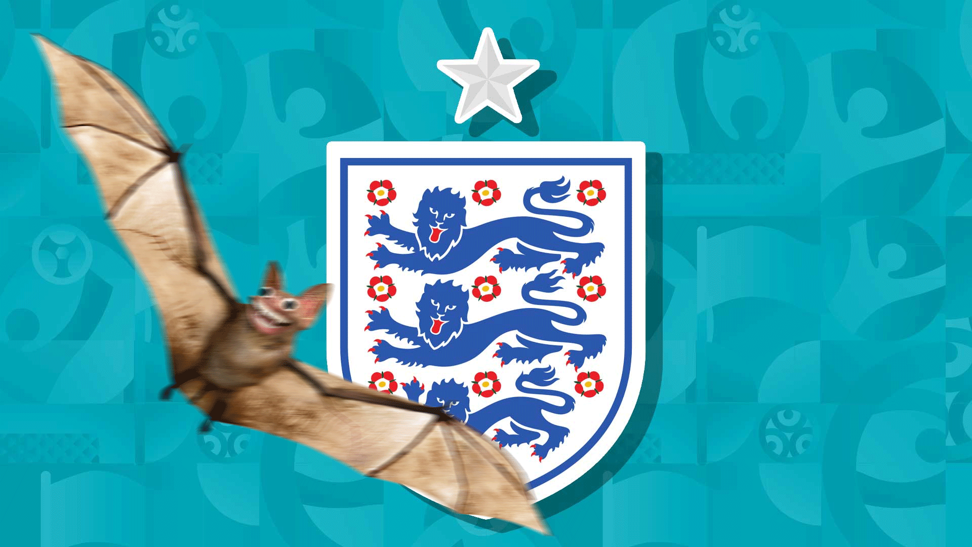 An England badge with a bat flying past