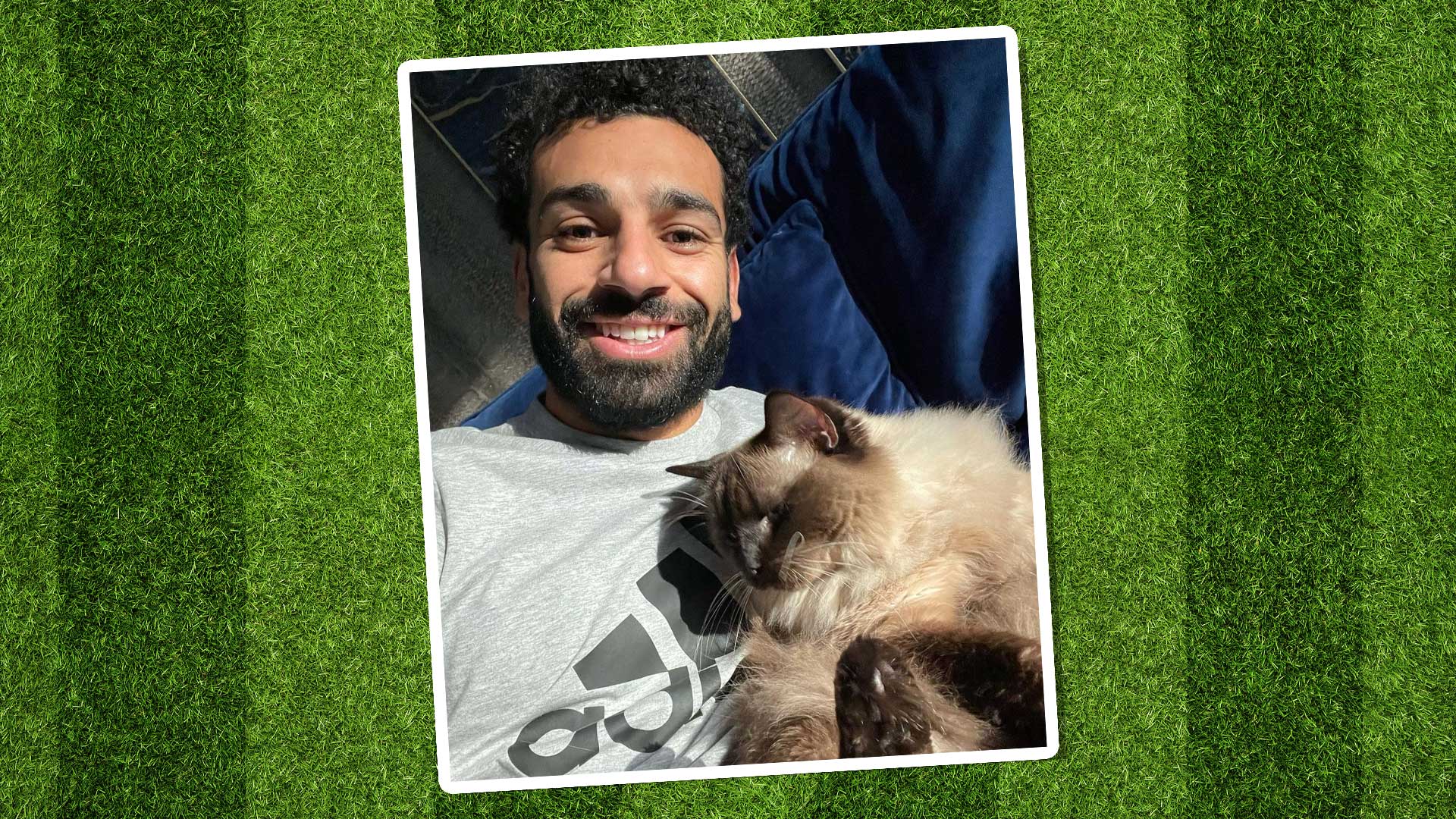 Mo Salah and a cat