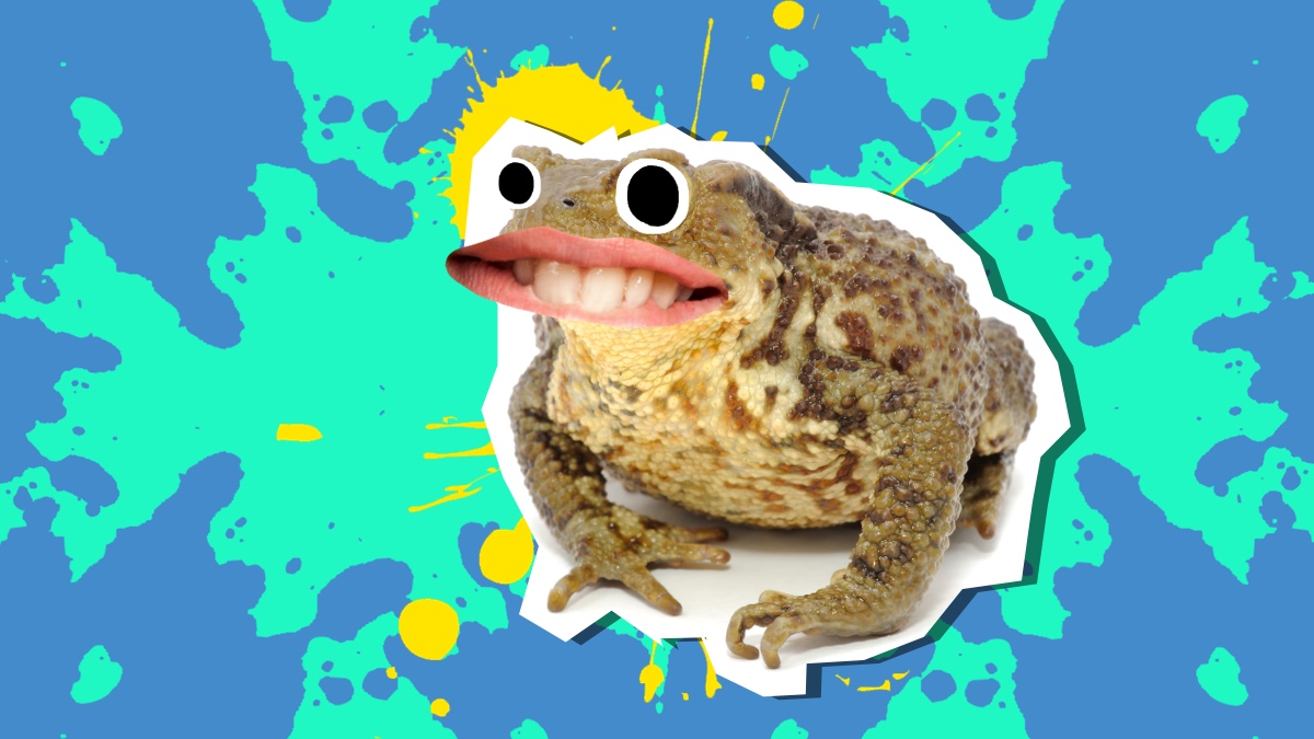 Toad Jokes | Funny Animal Jokes 
