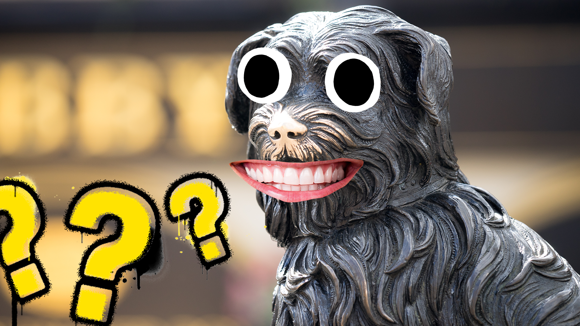 Dog statue with silly face and question marks 