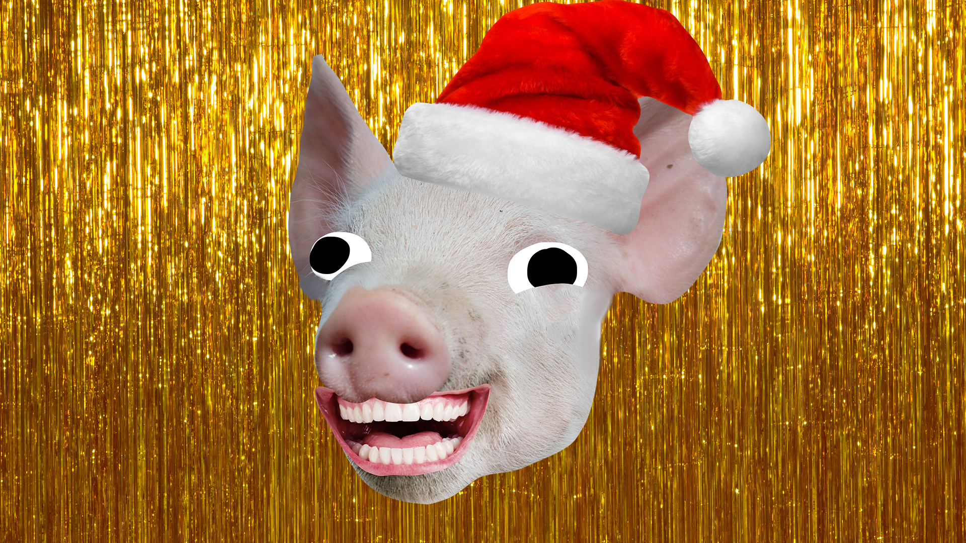 Laughing pig head with Xmas hat on tinsel background