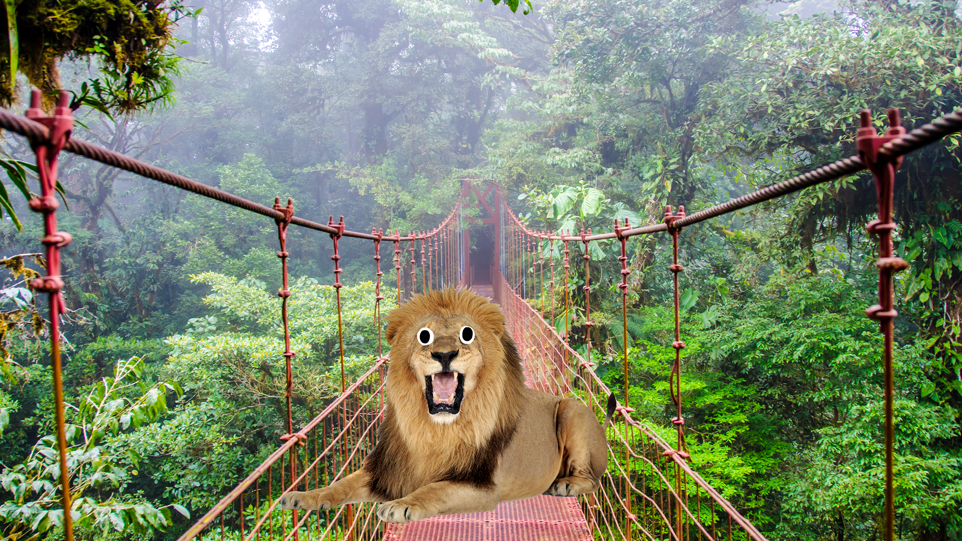 Jungle scene with Beano lion
