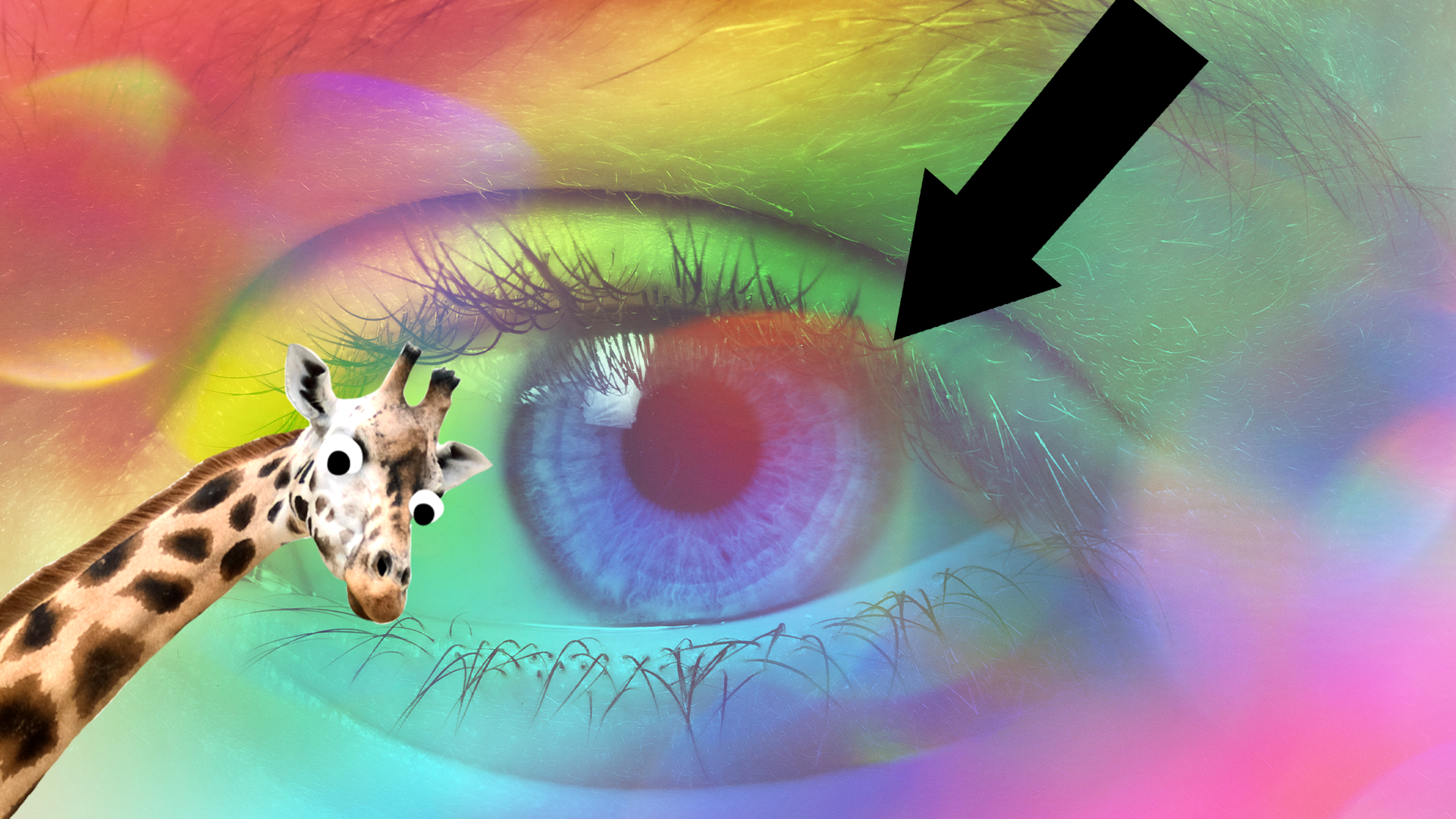 Colourful eye closeup with black arrow and derpy giraffe