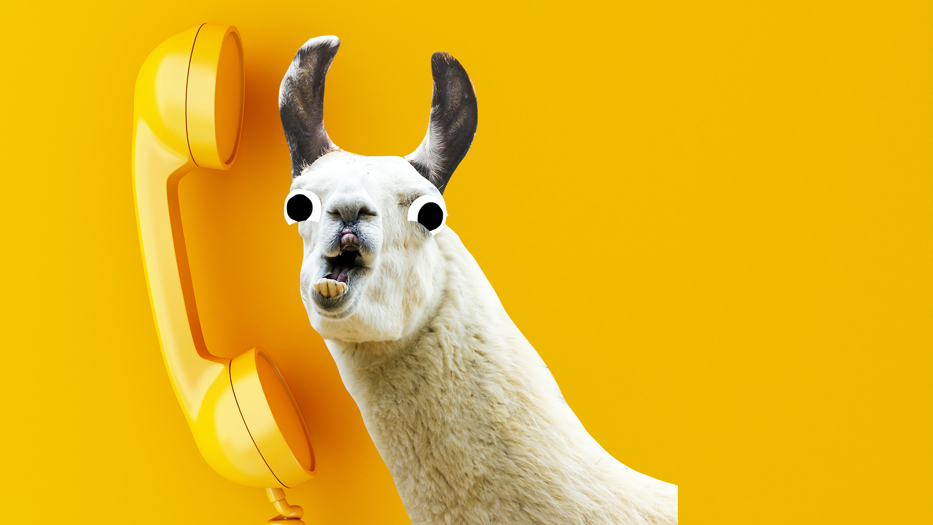 Beano llama and telephone on yellow background 