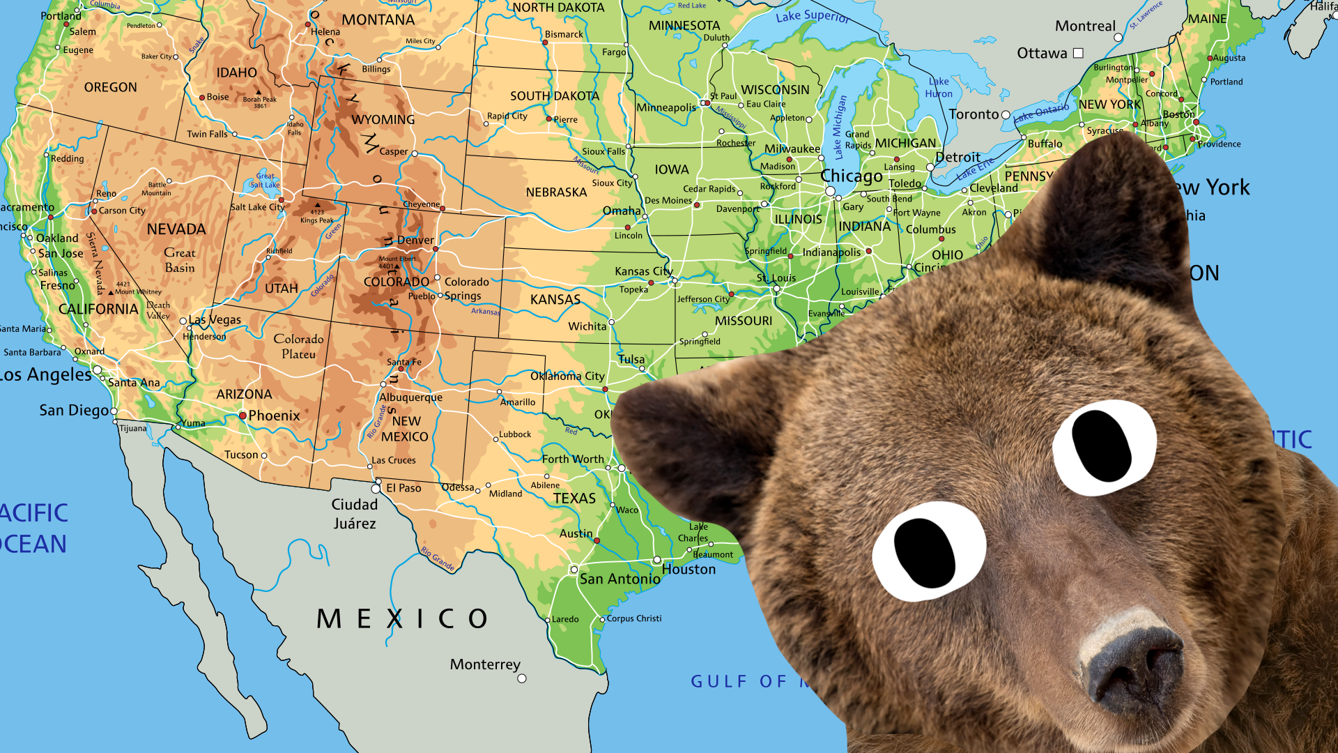 A bear next to a map of the USA