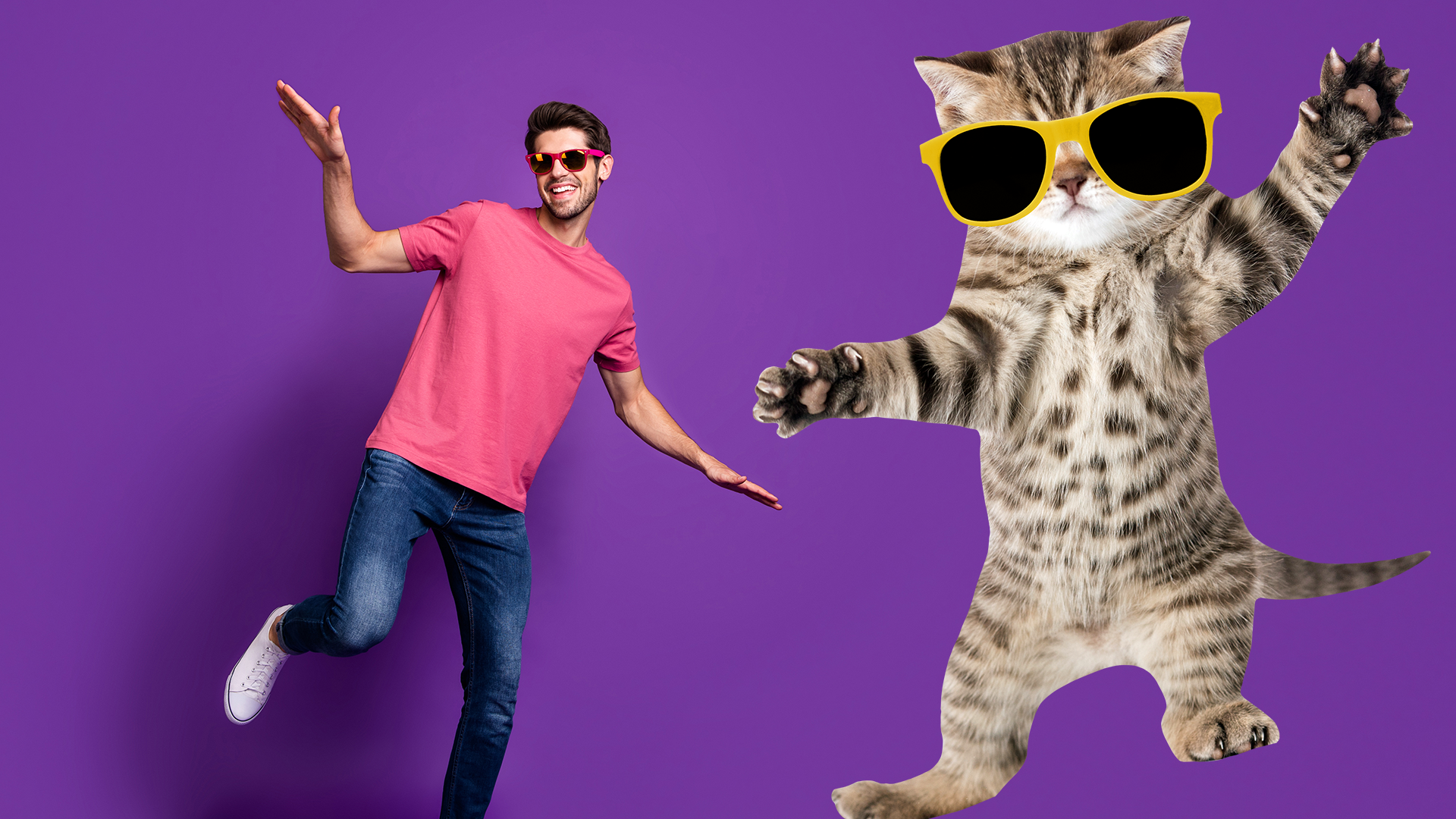 Man dancing with cool kitten on purple background 