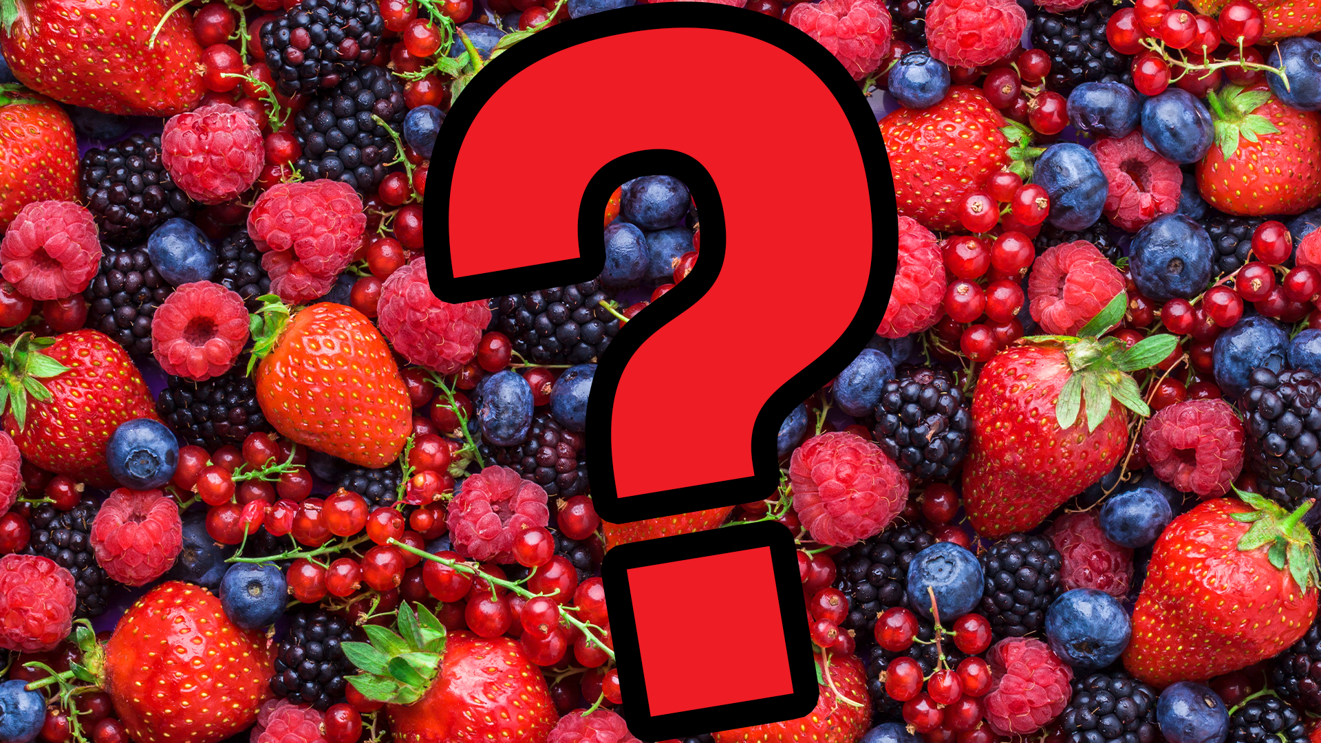 Question mark on berry background